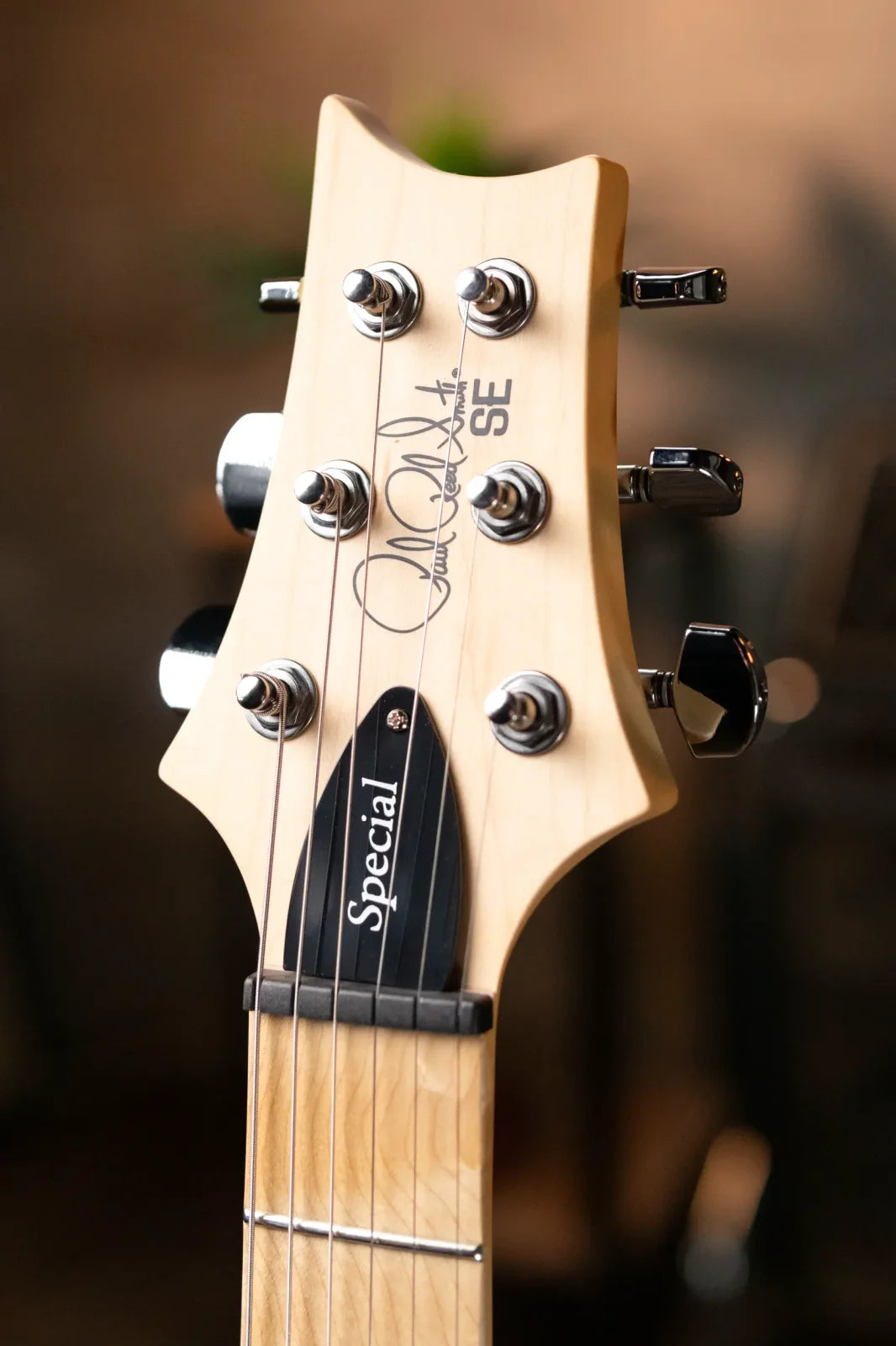 PRS SE Swamp Ash Special 22 - Vintage Sunburst with Gig Bag