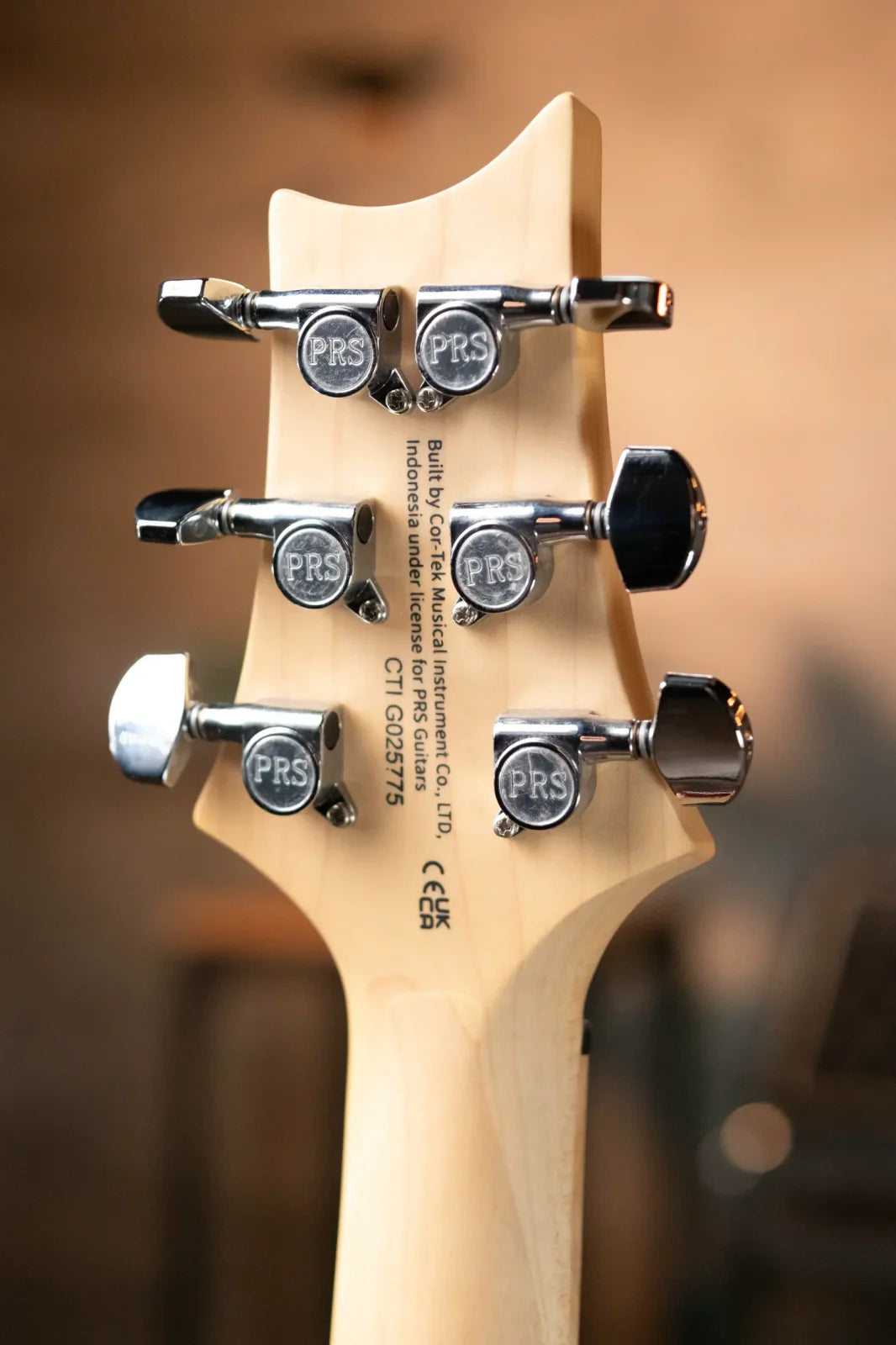 PRS SE Swamp Ash Special 22 - Vintage Sunburst with Gig Bag