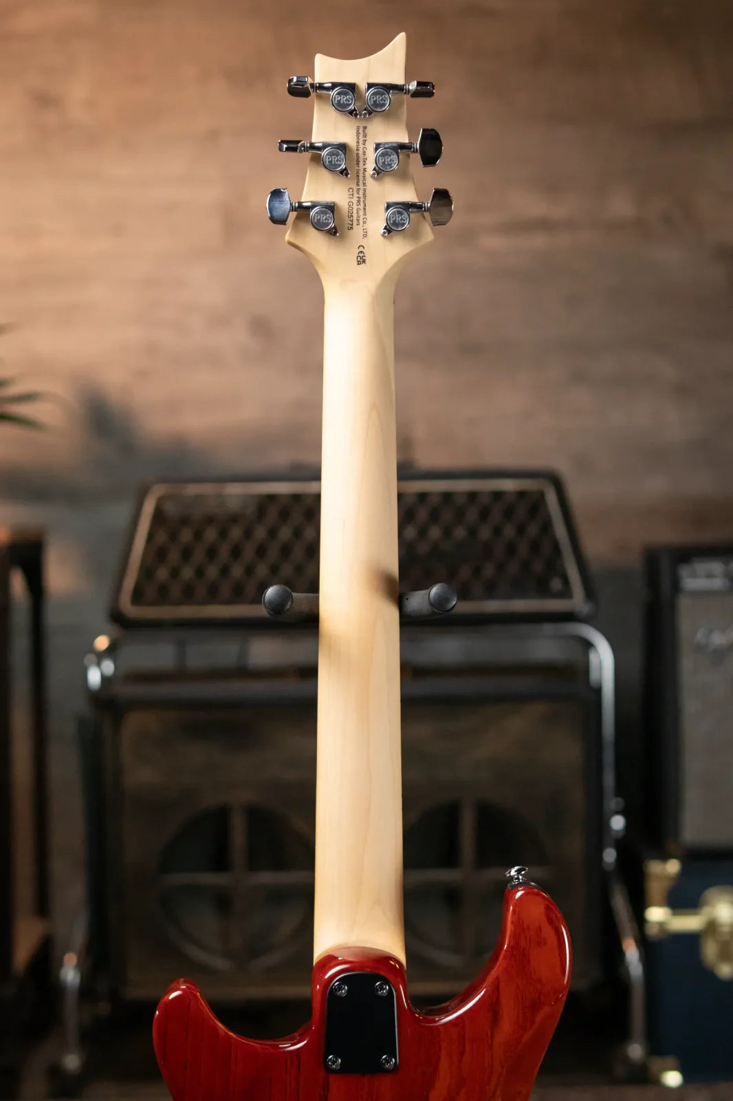 PRS SE Swamp Ash Special 22 - Vintage Sunburst with Gig Bag