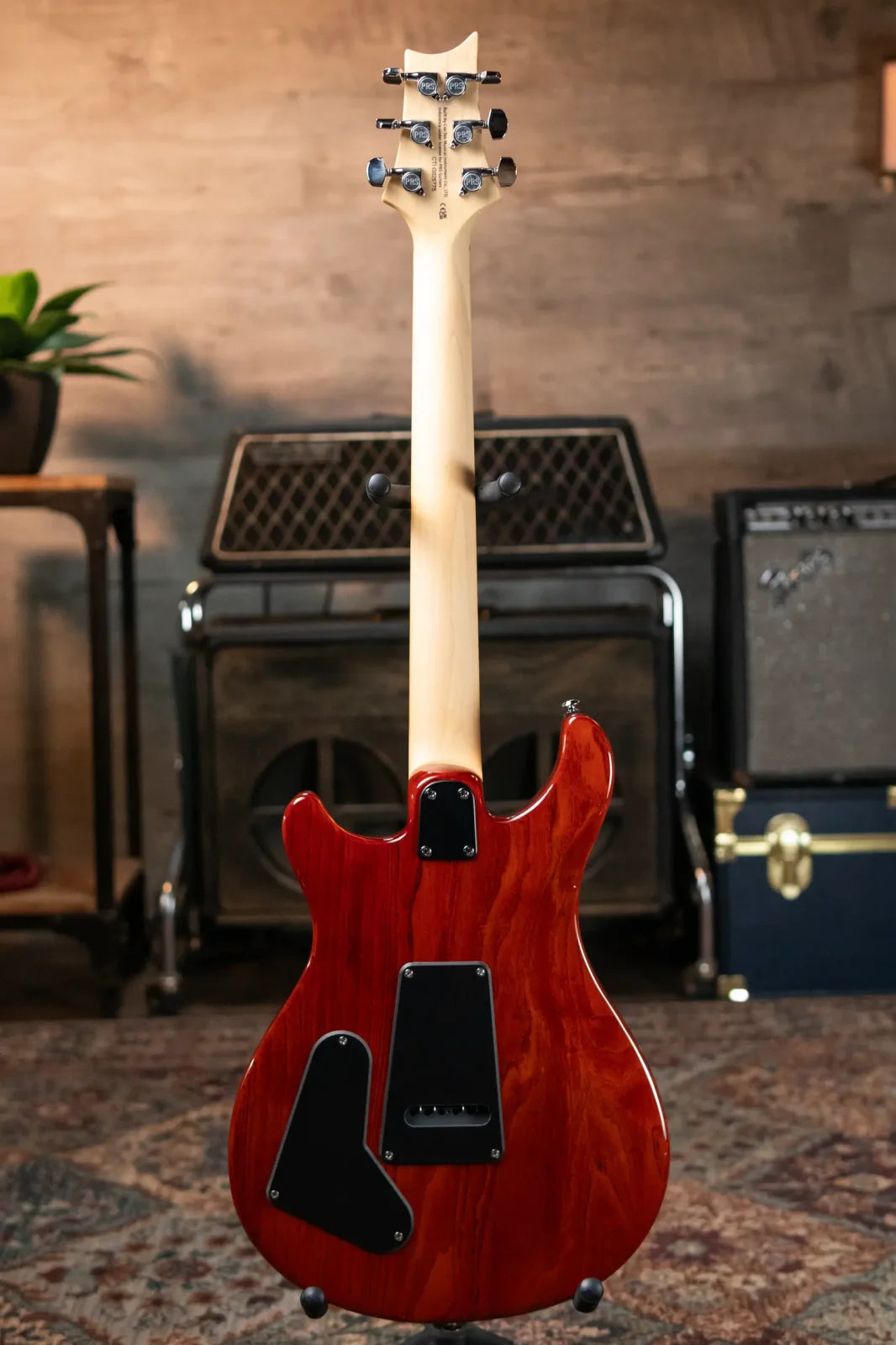 PRS SE Swamp Ash Special 22 - Vintage Sunburst with Gig Bag