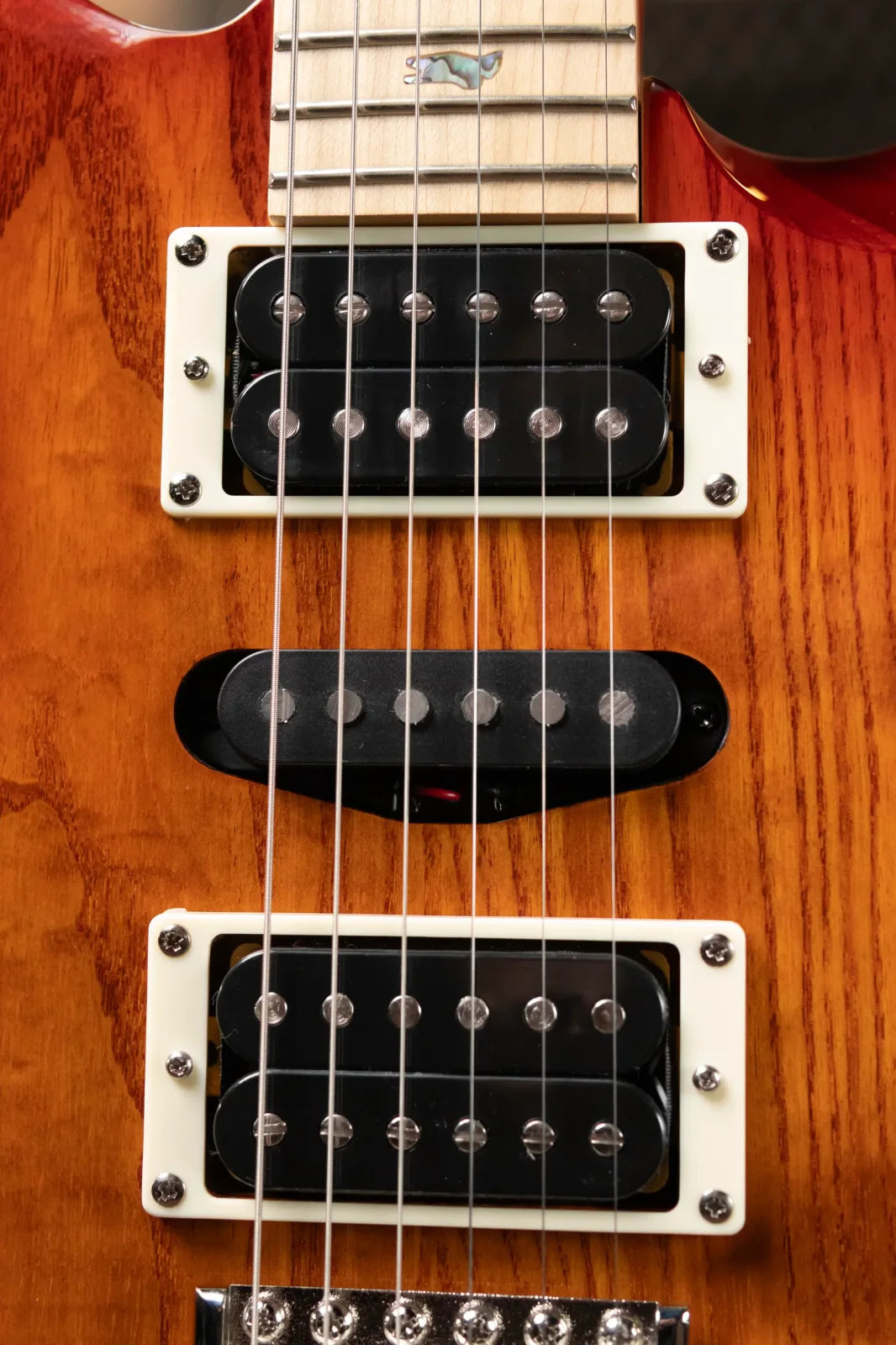 PRS SE Swamp Ash Special 22 - Vintage Sunburst with Gig Bag