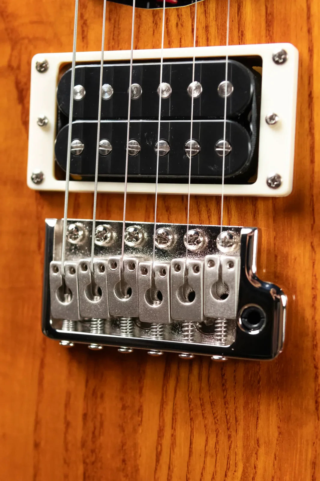 PRS SE Swamp Ash Special 22 - Vintage Sunburst with Gig Bag