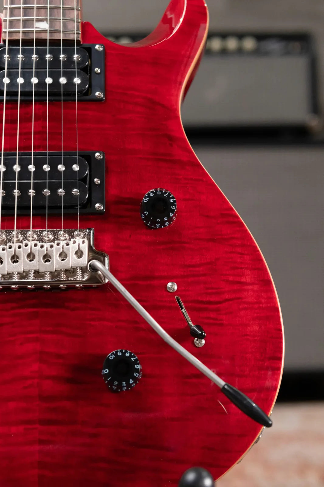 PRS SE Custom 24 Electric Guitar - Ruby with Gig Bag