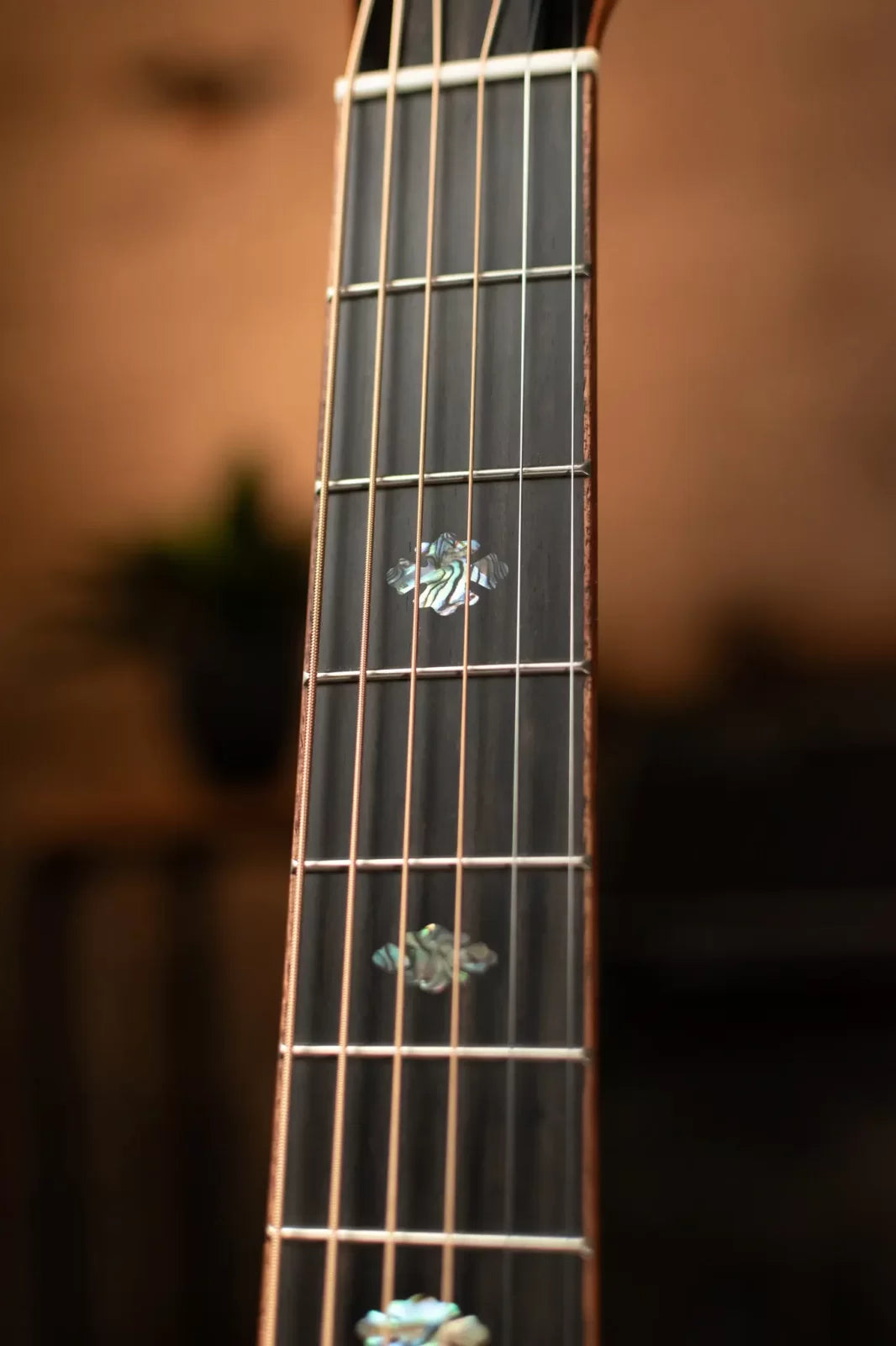 Beard Guitars Legacy R RN Custom Maple - Natural High Gloss with Hardshell Case