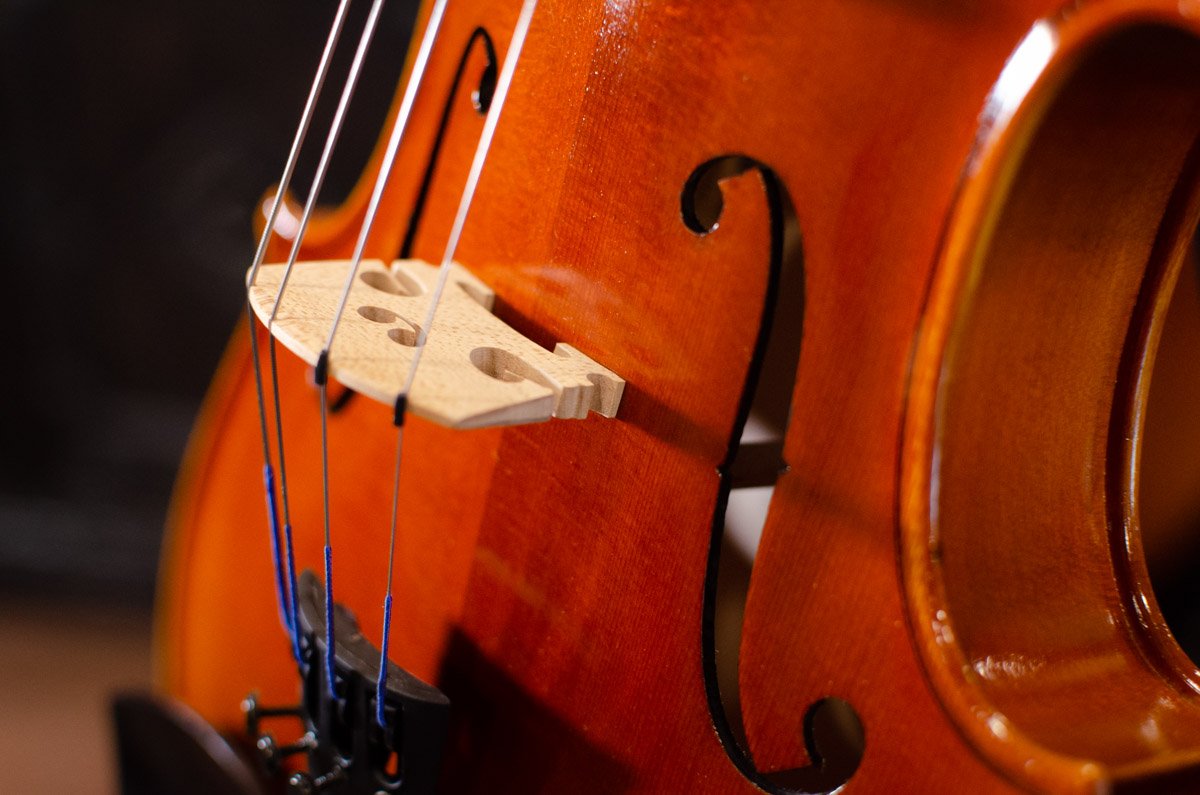 Core A25 Academy Student Quality Viola Outfit, 15