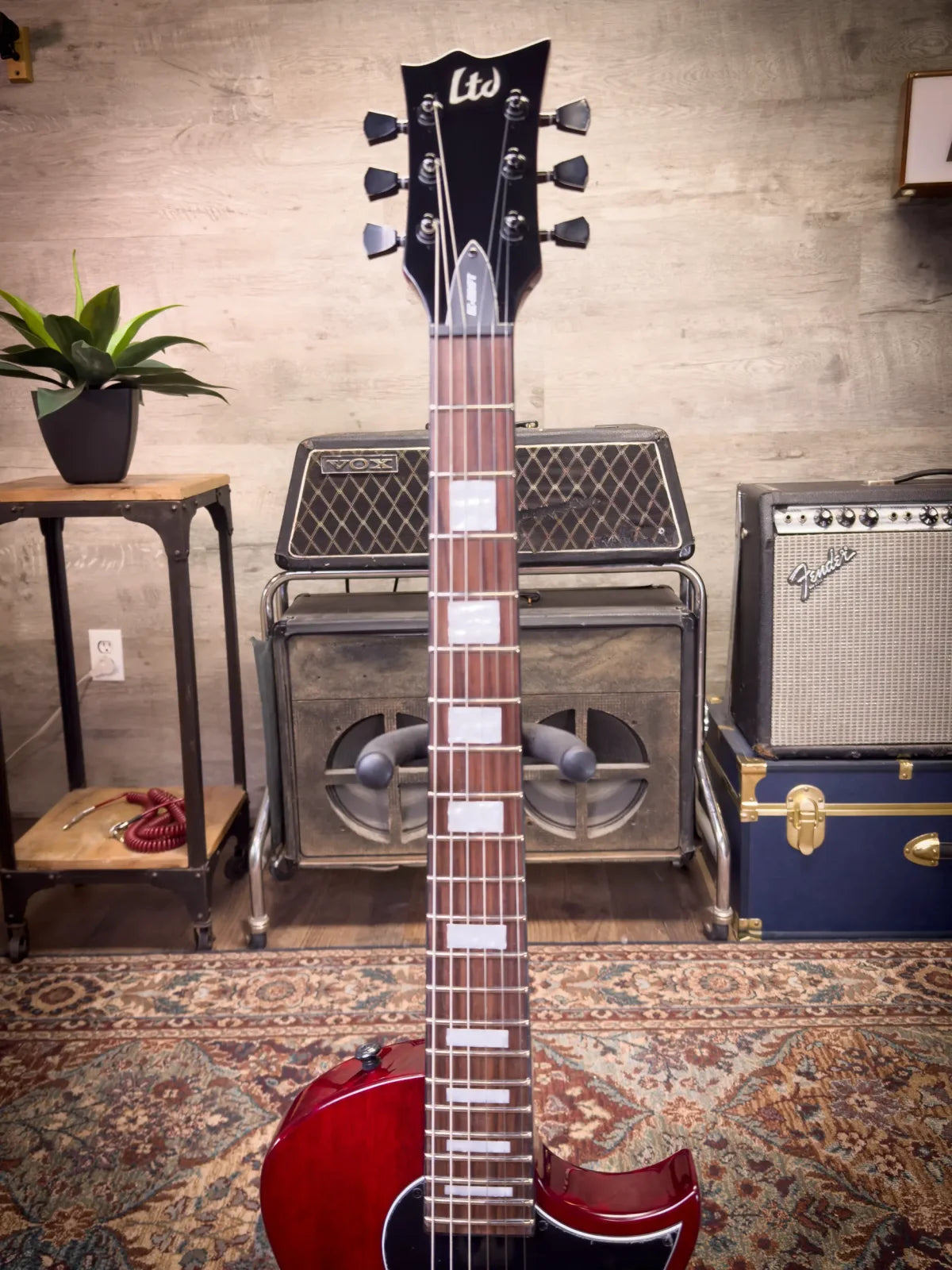 ESP LTD EC-201FT - See Thru Black Cherry