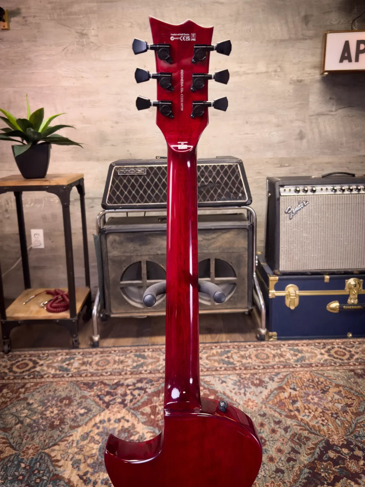 ESP LTD EC-201FT - See Thru Black Cherry