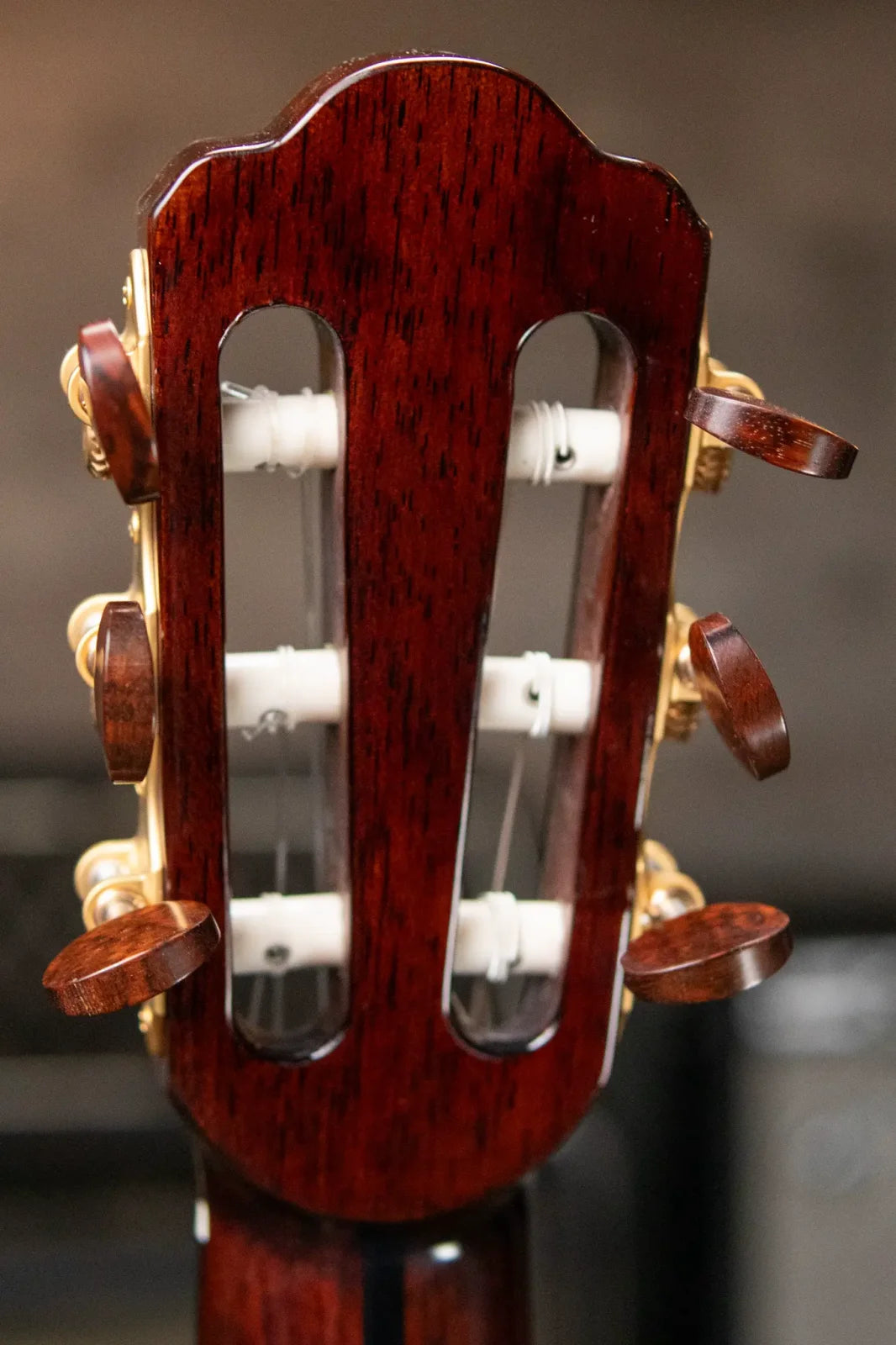 Eastman Cabaret-JB John Buscarino Classical Guitar with Hardshell Case