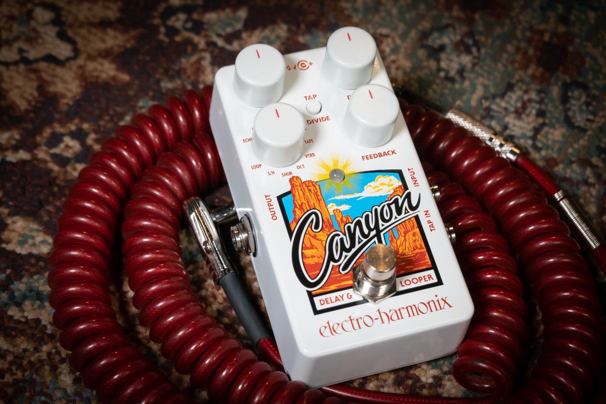 new Electro Harmonix Canyon Delay and Looper Guitar Pedal haggertys 6