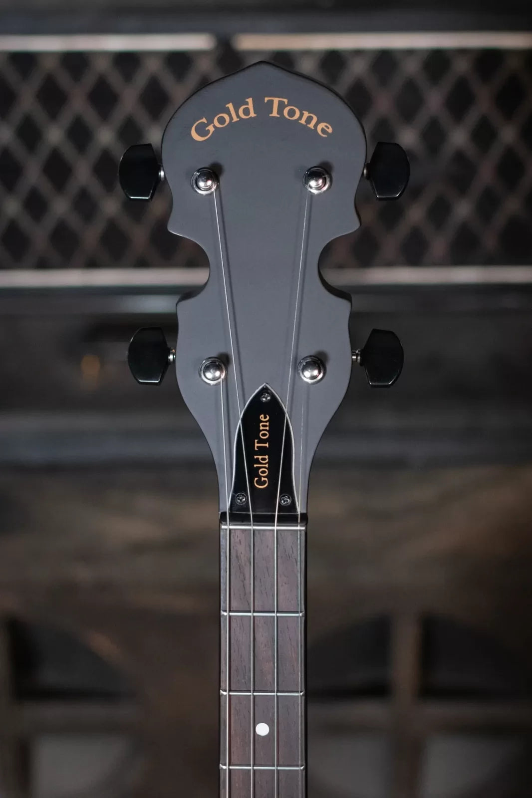 Gold Tone AC-4 Acoustic Composite Tenor Banjo