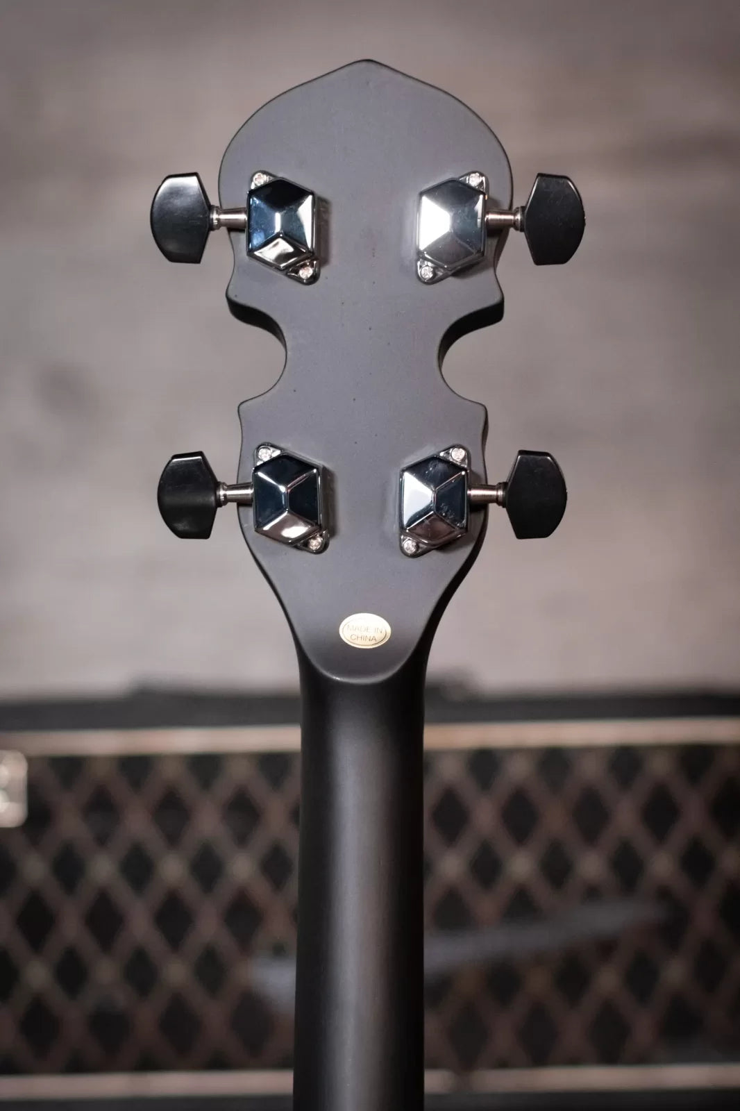 Gold Tone AC-4 Acoustic Composite Tenor Banjo