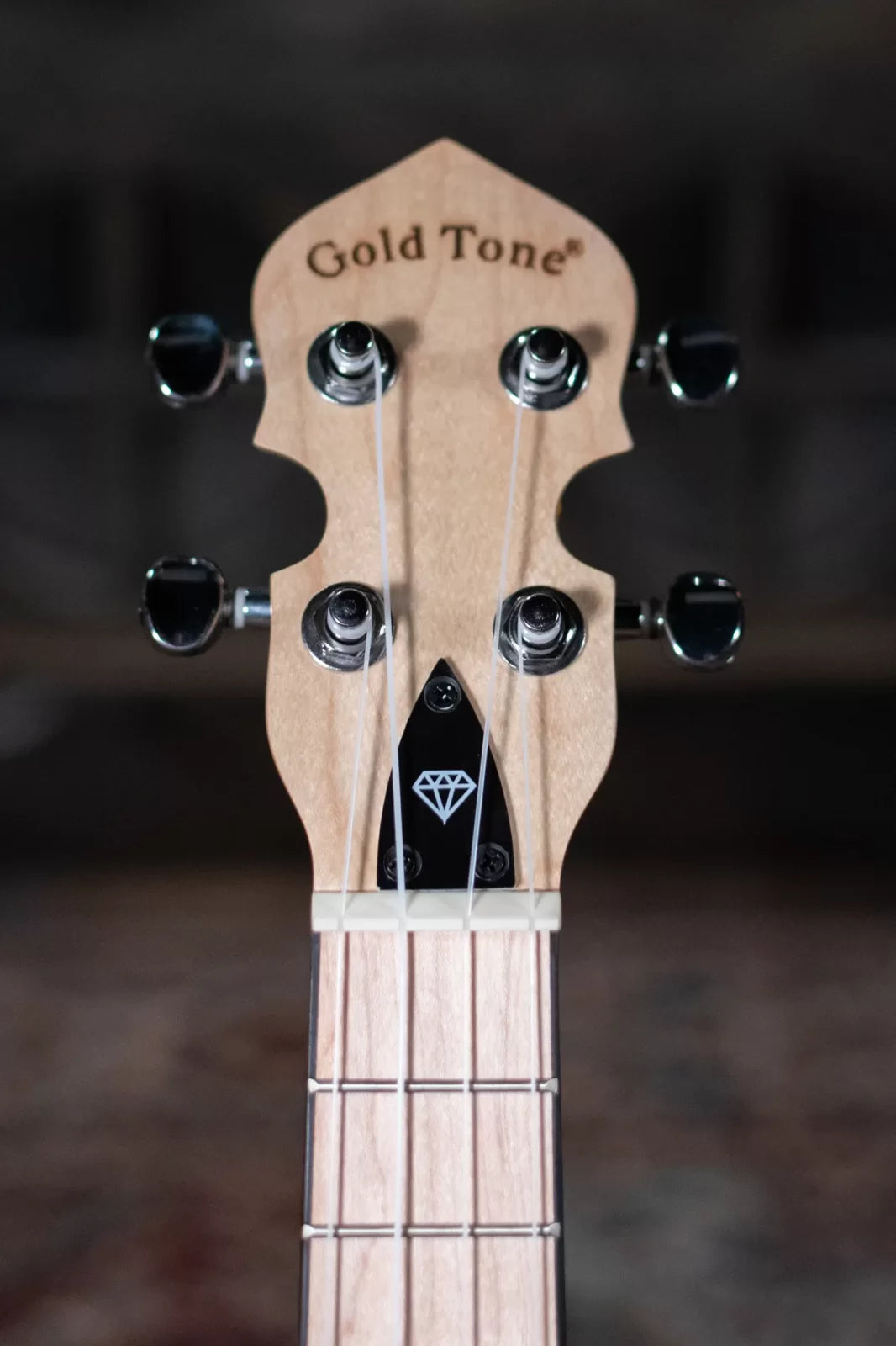 Gold Tone LG-A Little Gem Banjolele, Purple