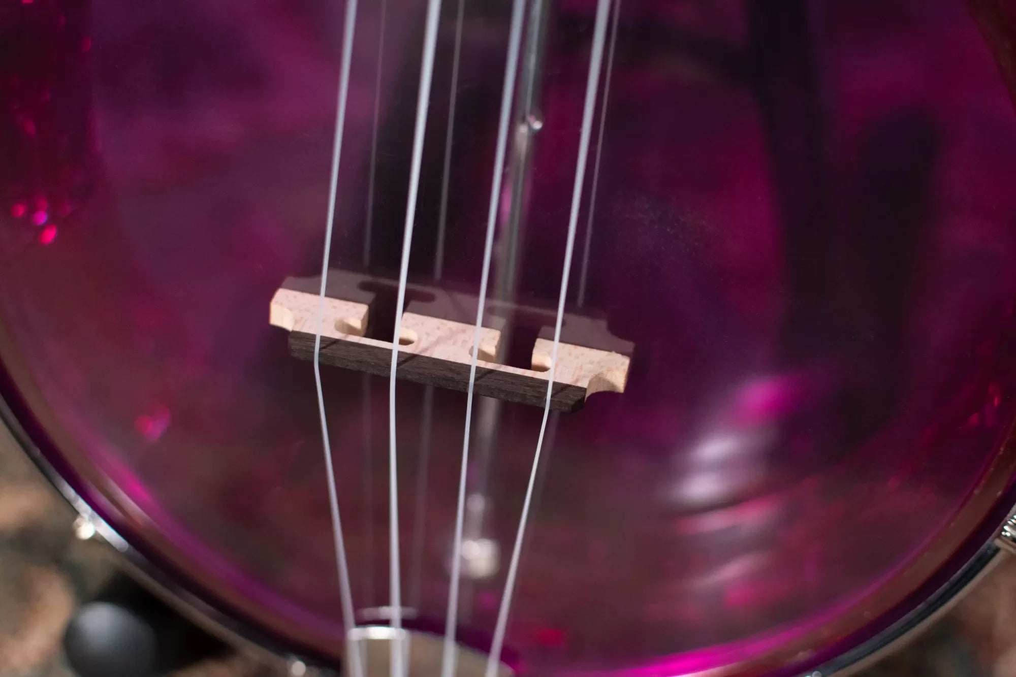 Gold Tone LG-A Little Gem Banjolele, Purple