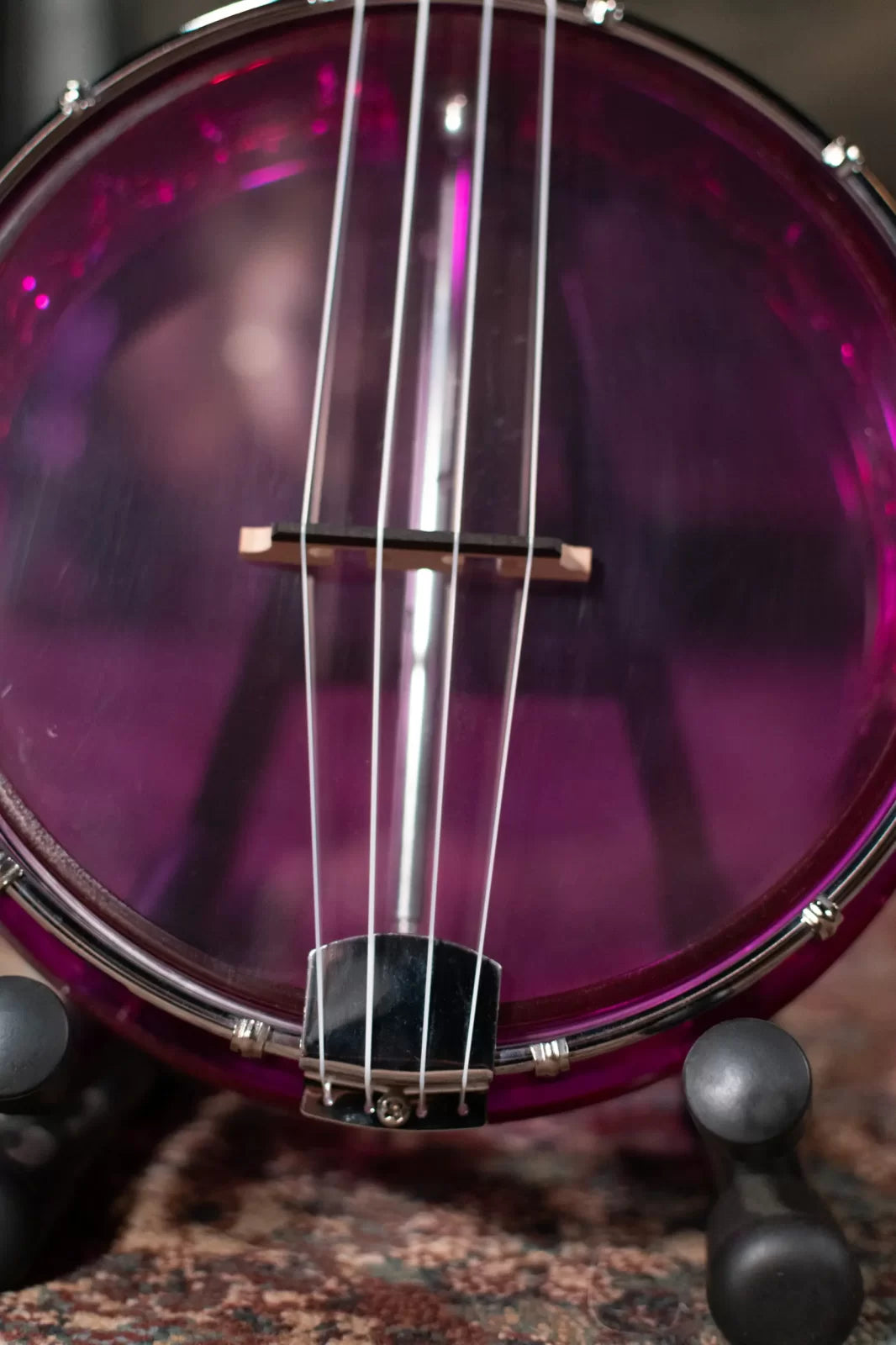 Gold Tone LG-A Little Gem Banjolele, Purple