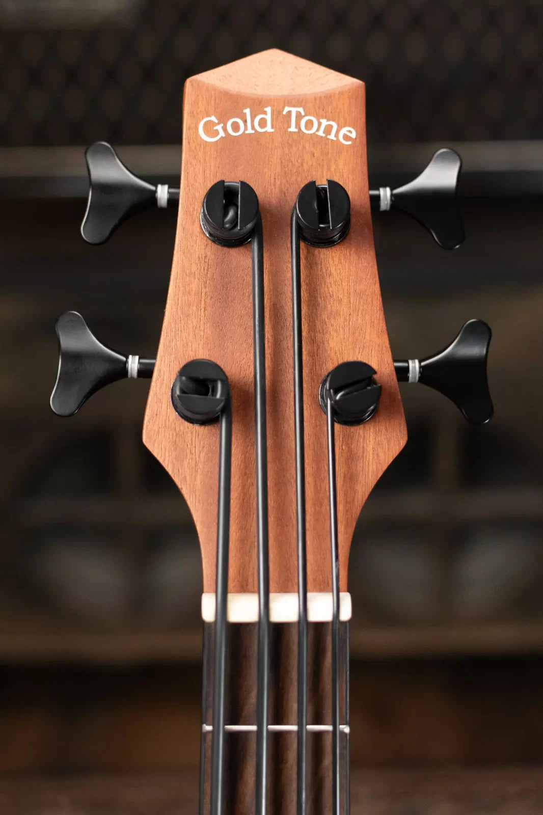 Gold Tone M-Bass 23' Scale Acoustic-Electric MicroBass with Gig Bag