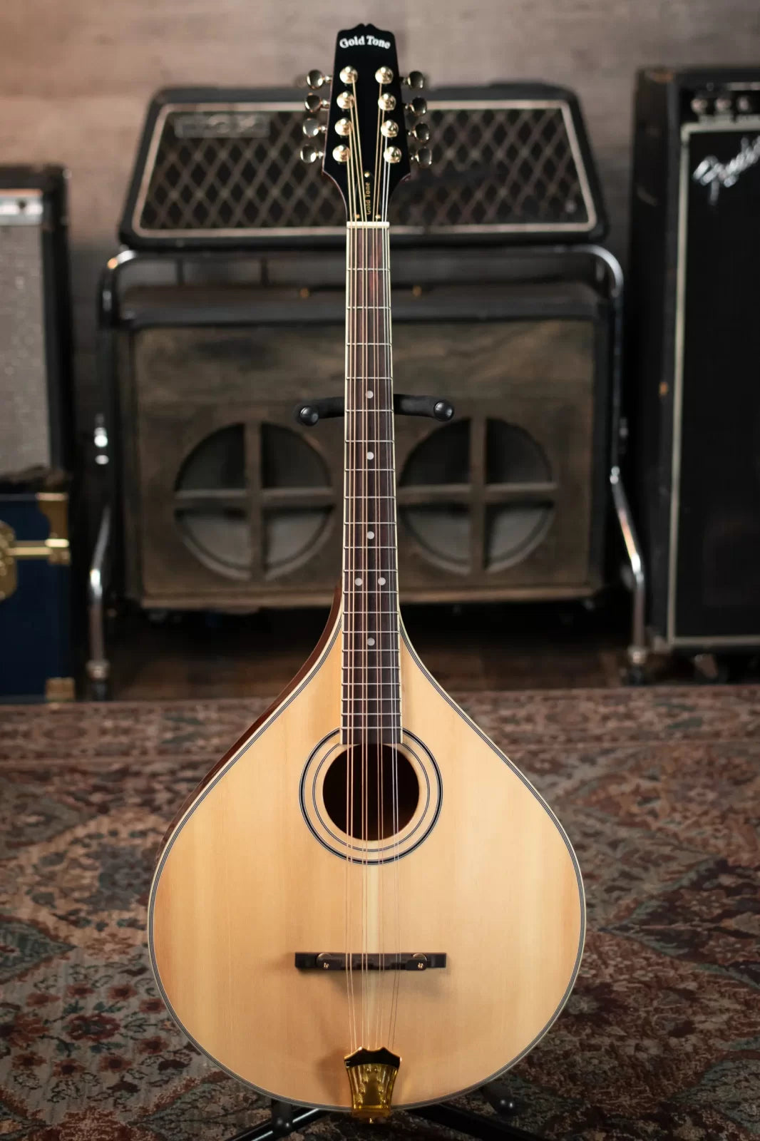 Gold Tone OM-800+ Octave Mandolin with Case