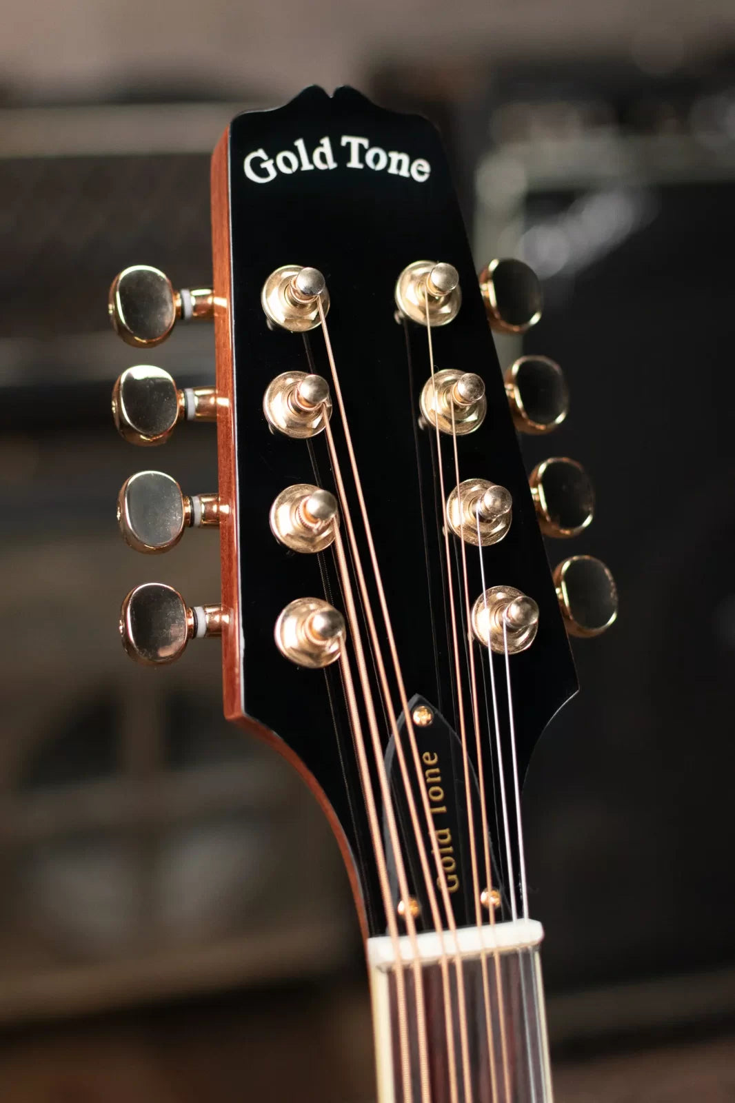 Gold Tone OM-800+ Octave Mandolin with Case