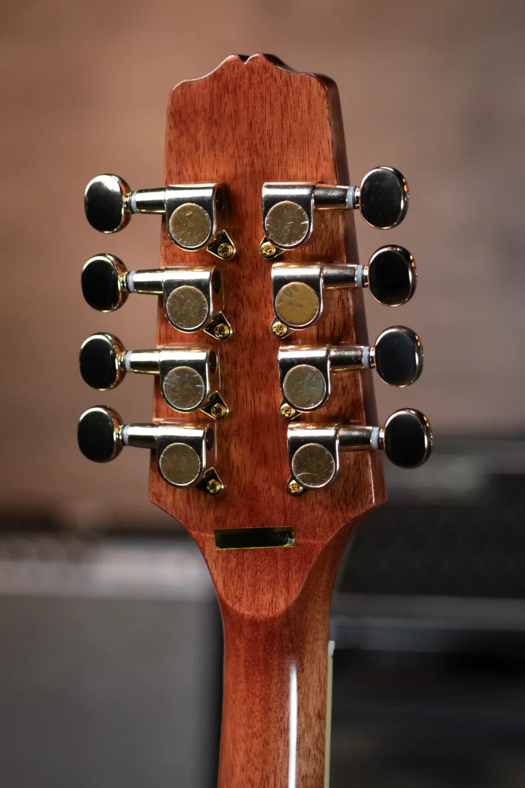 Gold Tone OM-800+ Octave Mandolin with Case