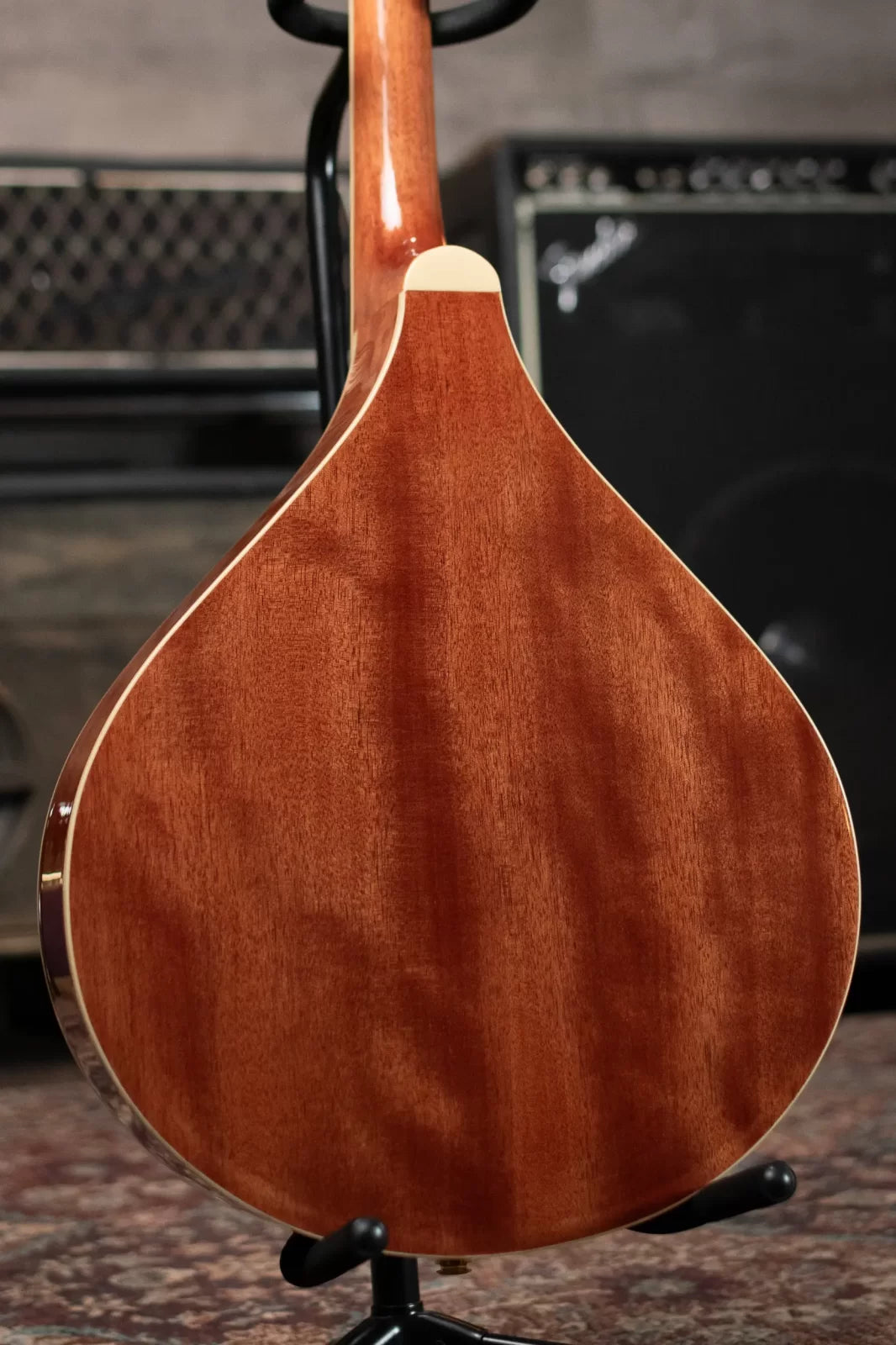 Gold Tone OM-800+ Octave Mandolin with Case