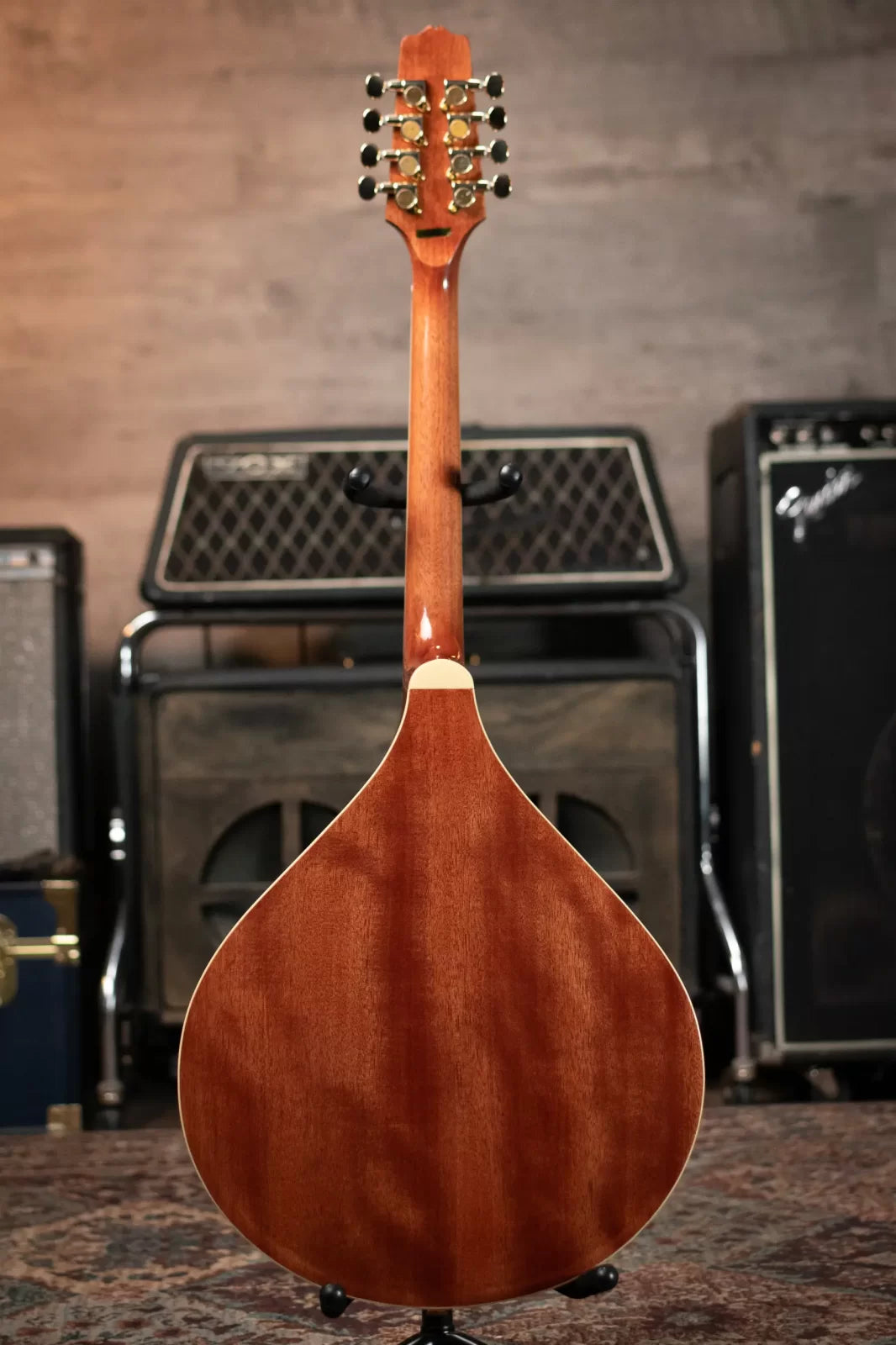 Gold Tone OM-800+ Octave Mandolin with Case