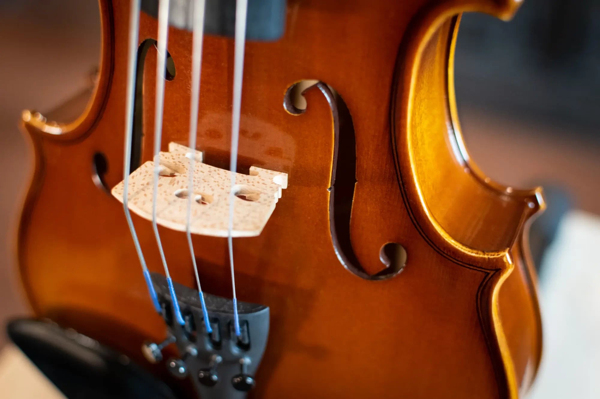 Howard Core A25e Viola Rental Outfit - 14"