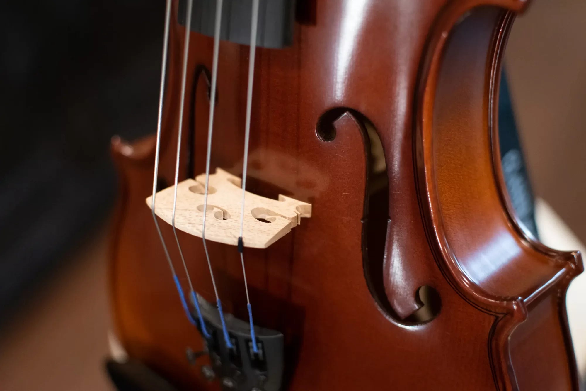 Howard Core CORE-A20-16OUTADJ Academy Student Quality Viola Outfit, 16"