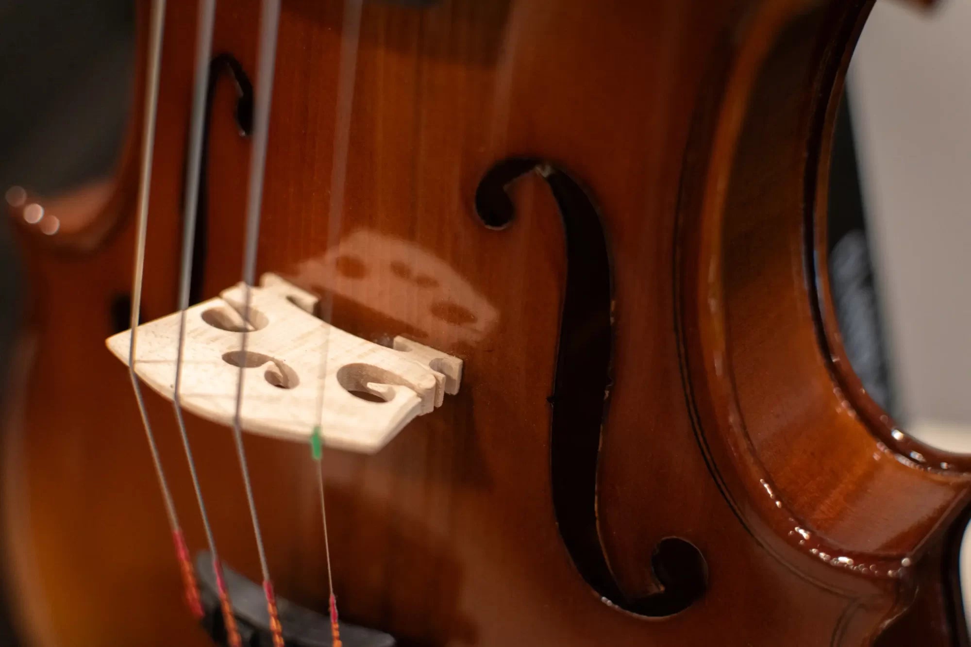 Krutz 200 Series Violin Outfit - 3/4