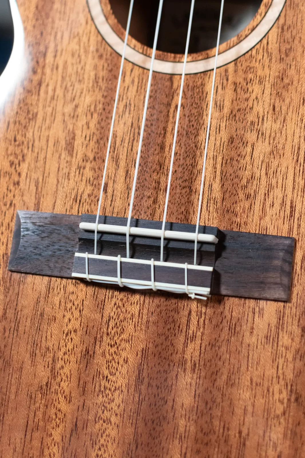 Lanikai MAS-T All Solid Mahogany Tenor Ukulele Outfit