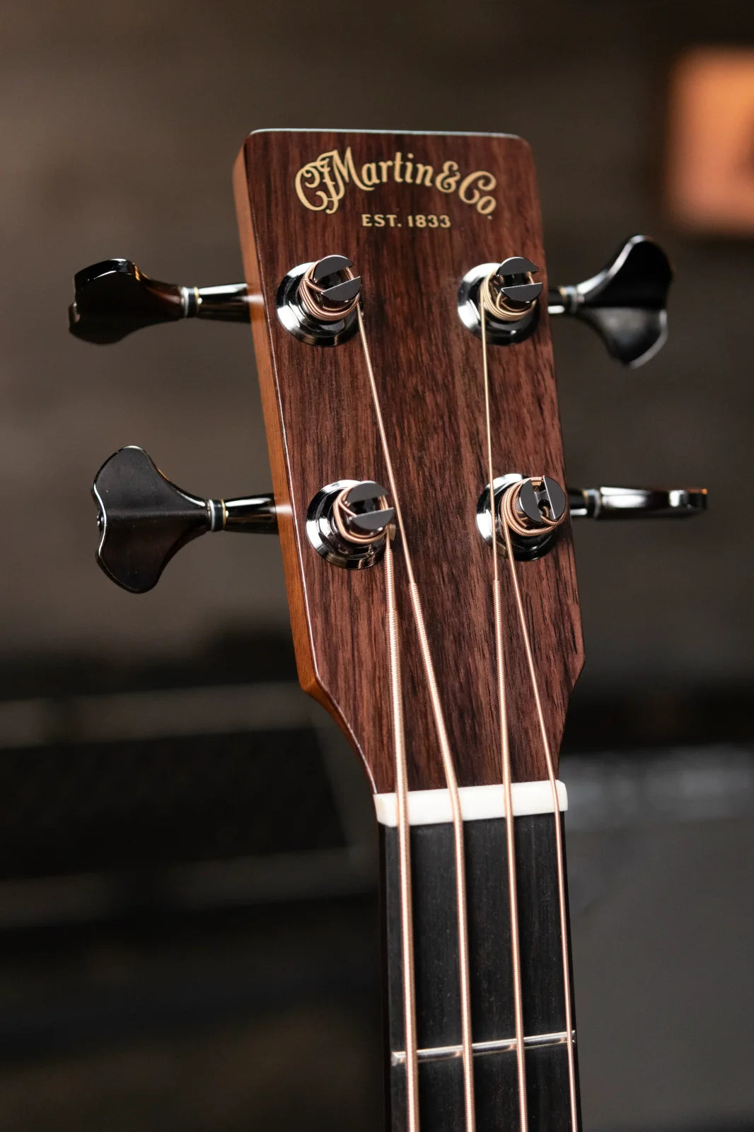 Martin BC-16E Rosewood Acoustic/Electric Bass with Gig Bag - Demo