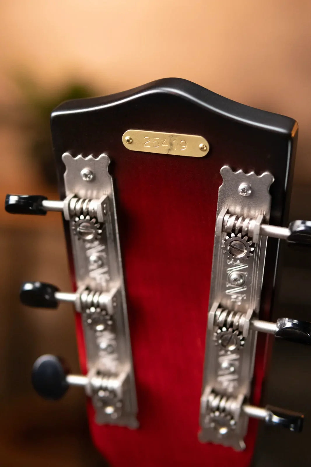 National Rosita 14 Fret with Hardshell Case