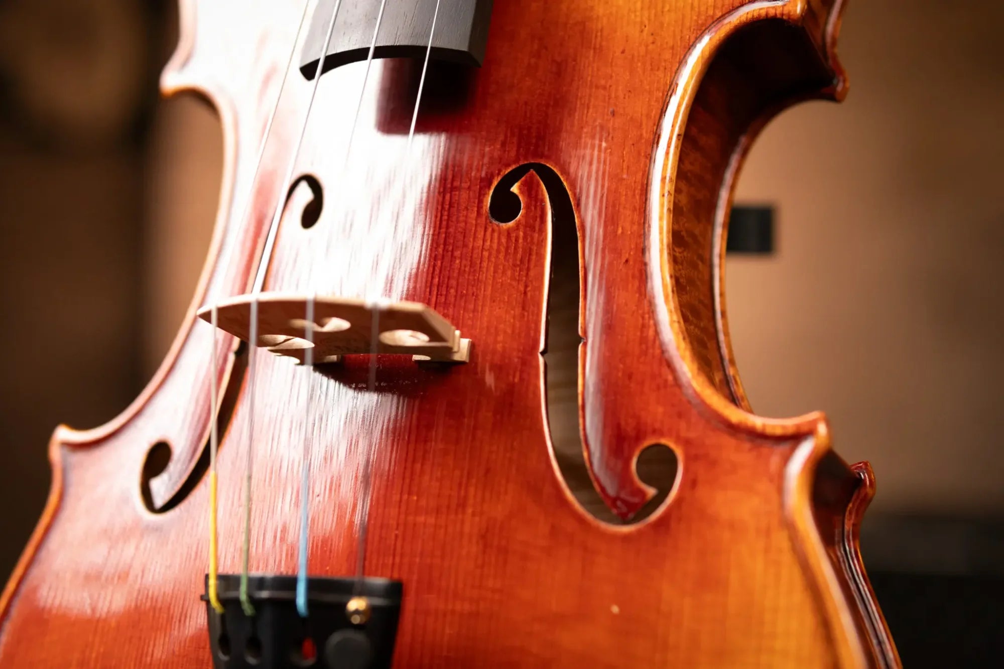 Scott Cao, STV-850, CANNON (1743 GUARN), 4/4, 2 PIECE BACK