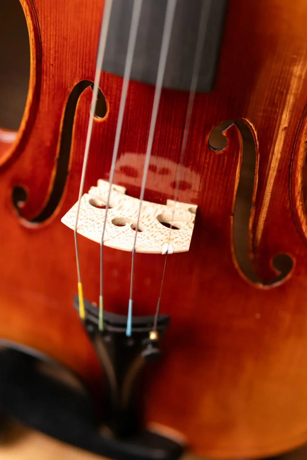 Scott Cao, STV-850, CANNON (1743 GUARN), 4/4, 2 PIECE BACK