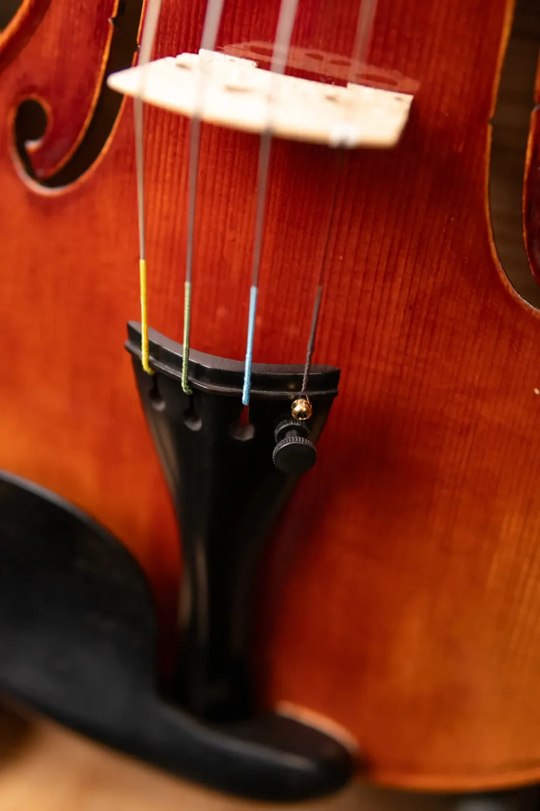 Scott Cao, STV-850, CANNON (1743 GUARN), 4/4, 2 PIECE BACK