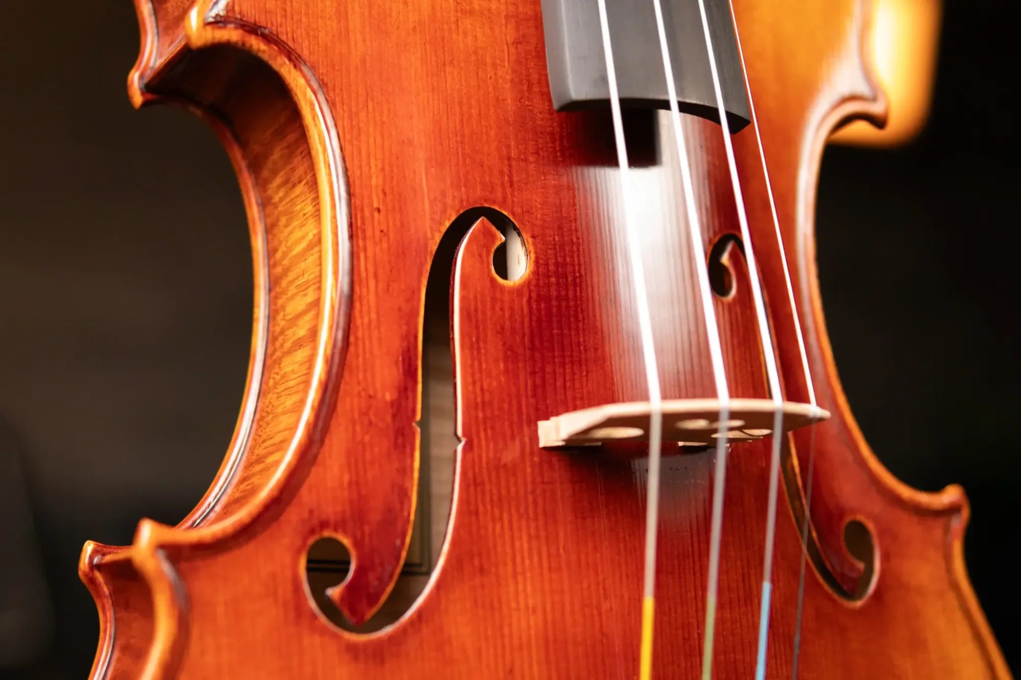 Scott Cao, STV-850, CANNON (1743 GUARN), 4/4, 2 PIECE BACK