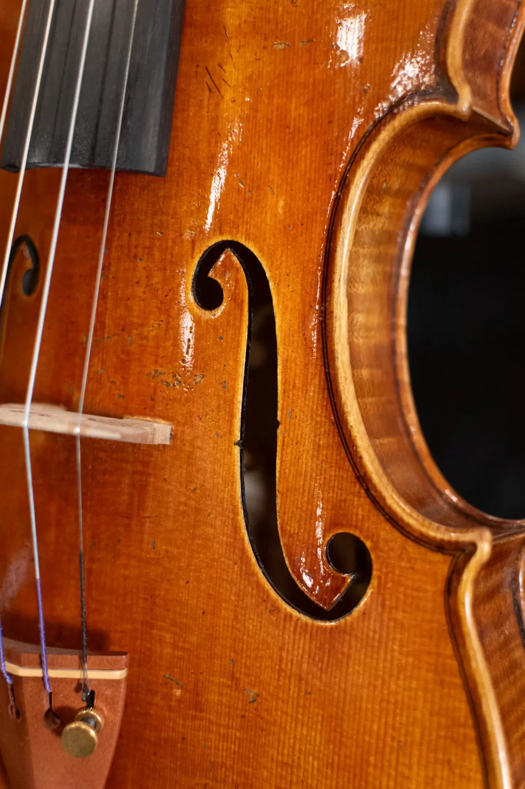 new Scott Shu Kun Cao Superior Bench Violin Ole Bull 1744 haggertys 12