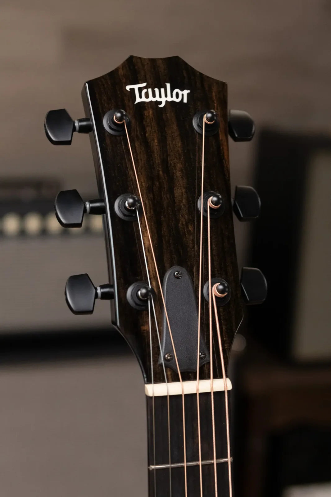 Taylor 214ce-BLK DLX Grand Auditorium Acoustic/Electric Guitar with Deluxe Hard Shell Case
