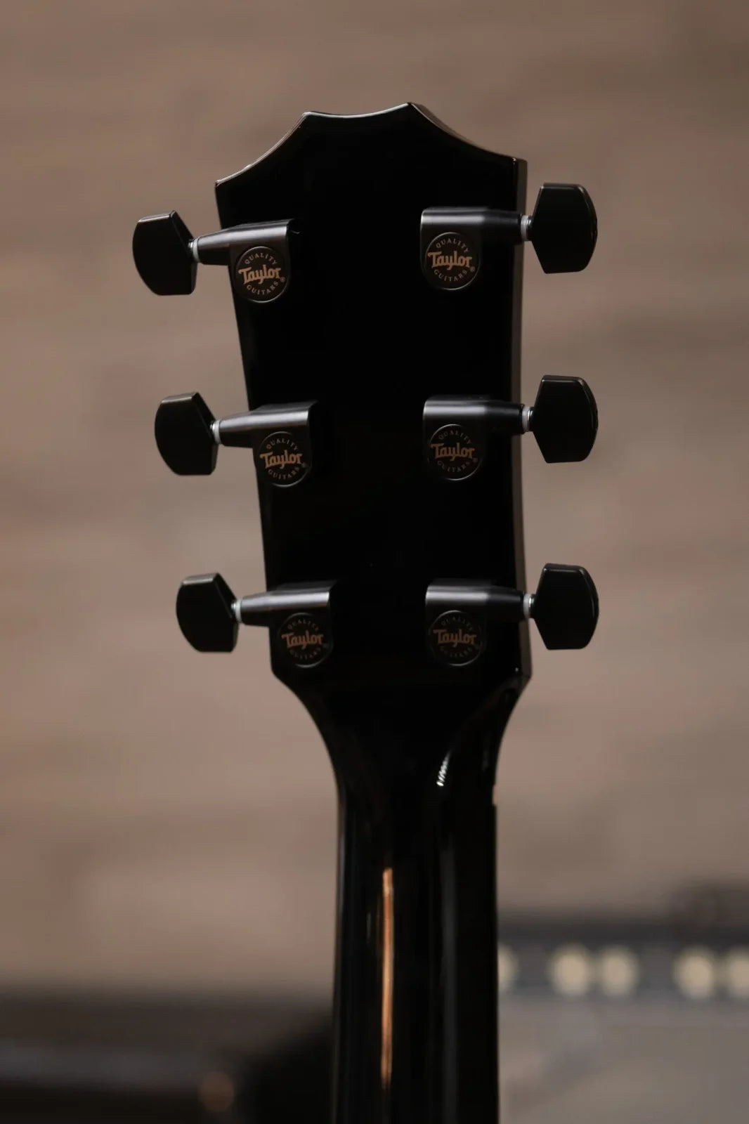 Taylor 214ce-BLK DLX Grand Auditorium Acoustic/Electric Guitar with Deluxe Hard Shell Case