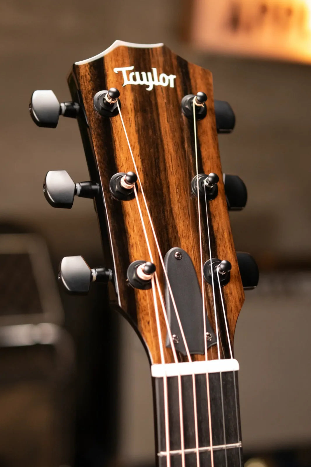 Taylor 214ce-BLK Plus Grand Auditorium Acoustic/Electric with Aerocase - Factory Demo