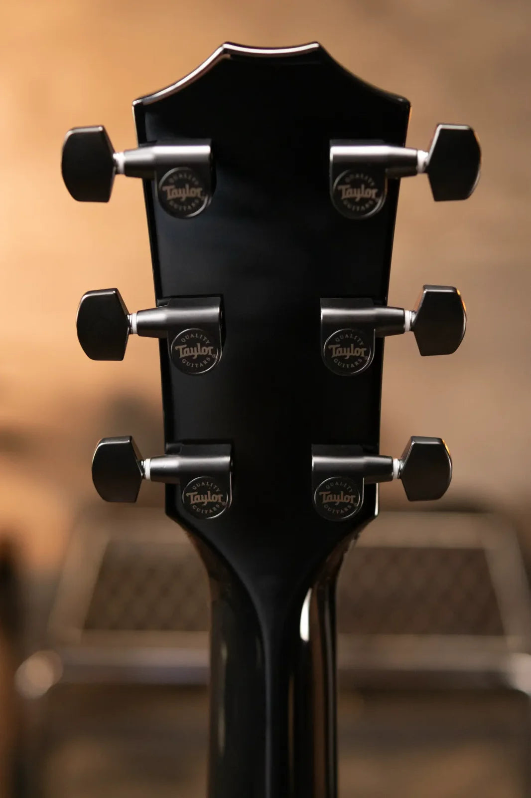 Taylor 214ce-BLK Plus Grand Auditorium Acoustic/Electric with Aerocase - Factory Demo