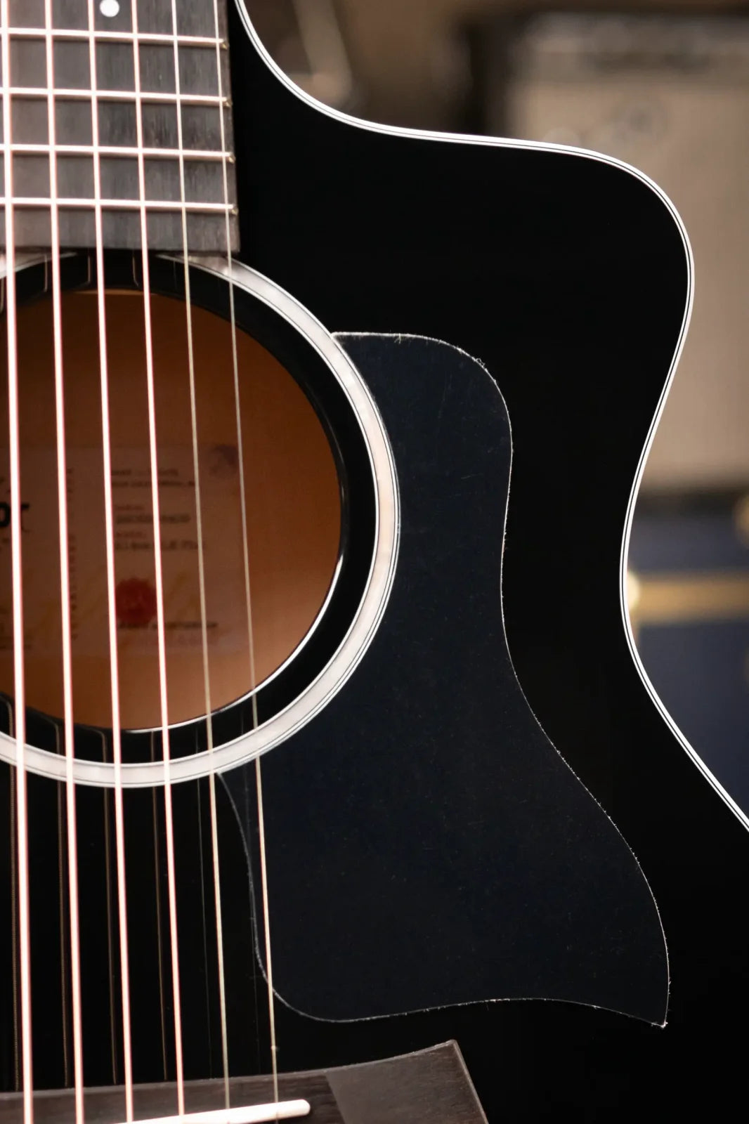 Taylor 214ce-BLK Plus Grand Auditorium Acoustic/Electric with Aerocase - Factory Demo