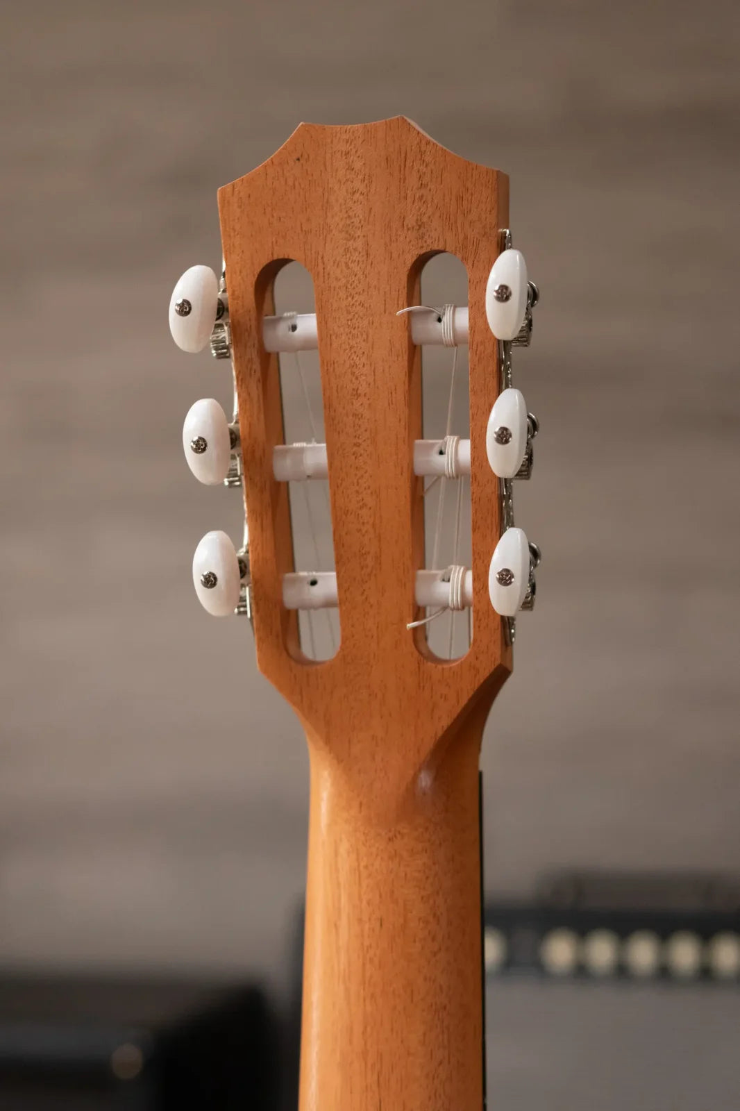 Taylor 214ce-N Nylon Grand Auditorium Acoustic/Electric with Gig Bag - Factory Demo