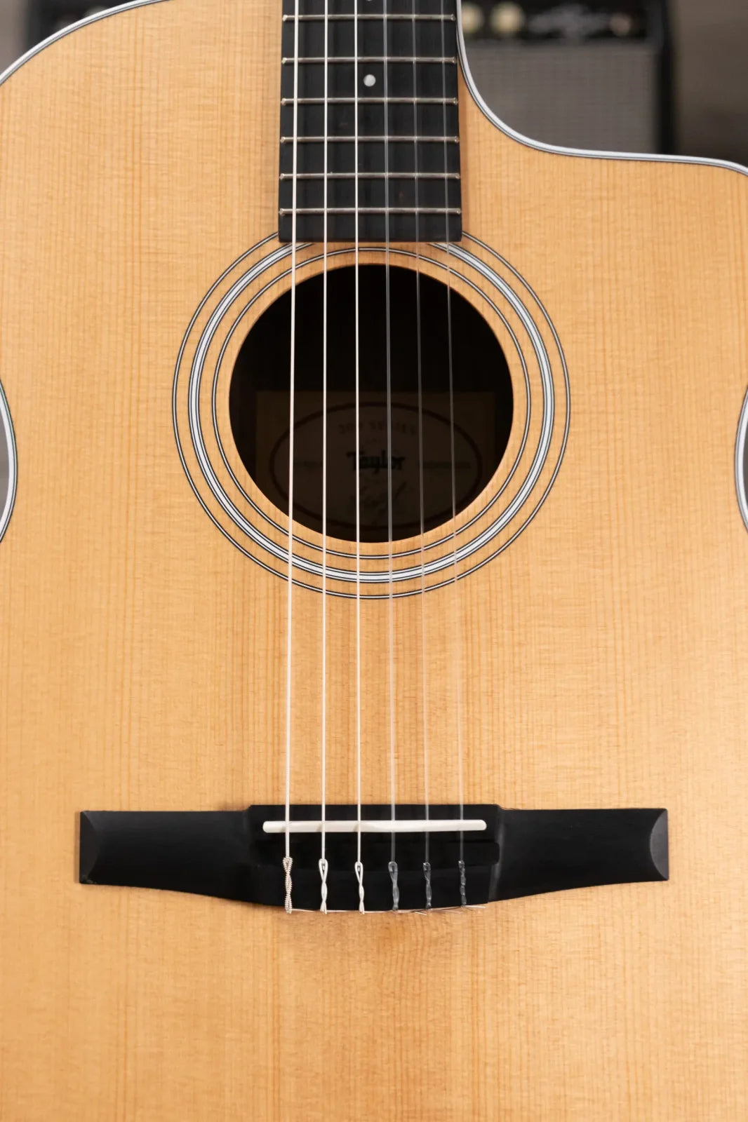 Taylor 214ce-N Nylon Grand Auditorium Acoustic/Electric with Gig Bag - Factory Demo