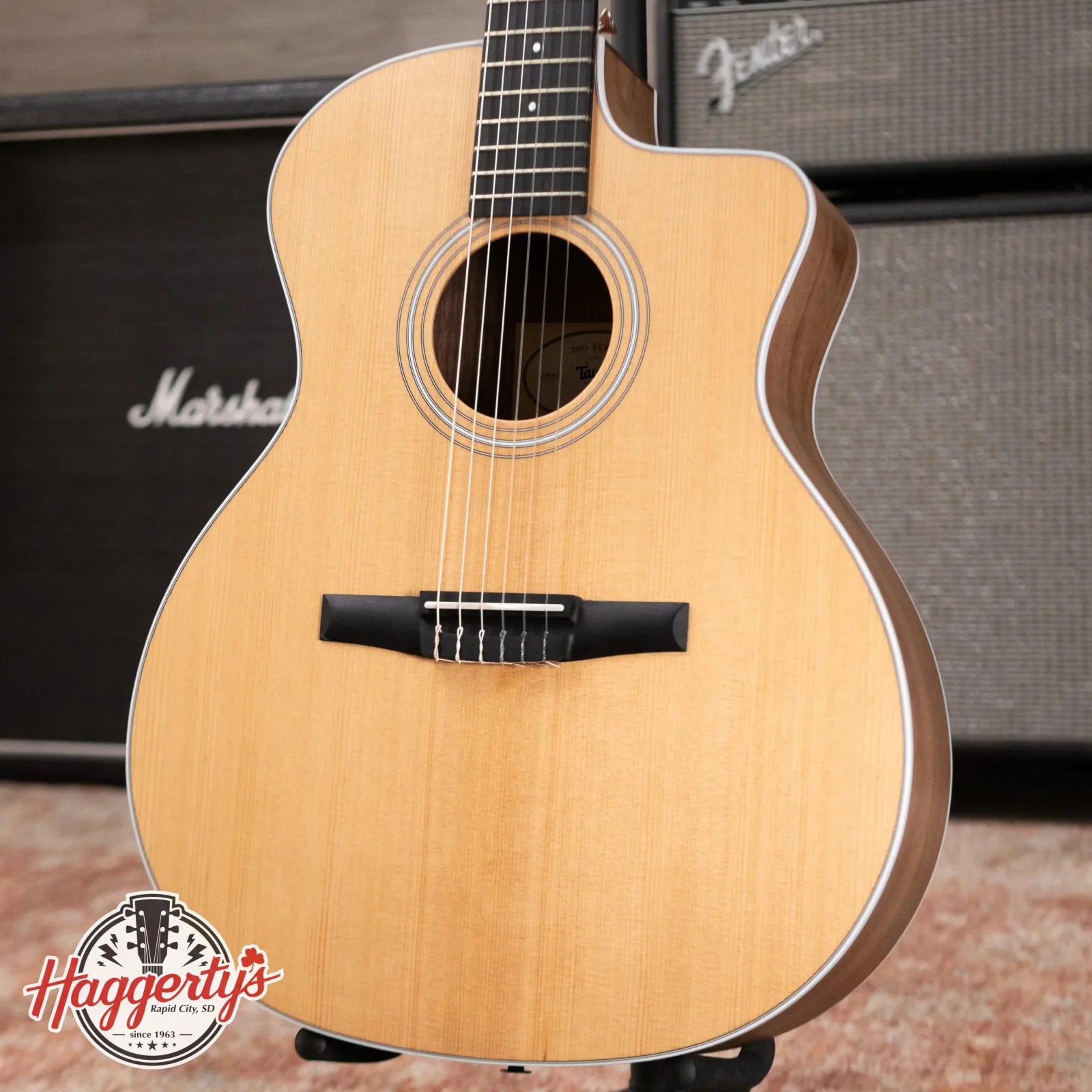 Taylor 214ce-N Nylon Grand Auditorium Acoustic/Electric with Gig Bag - Factory Demo
