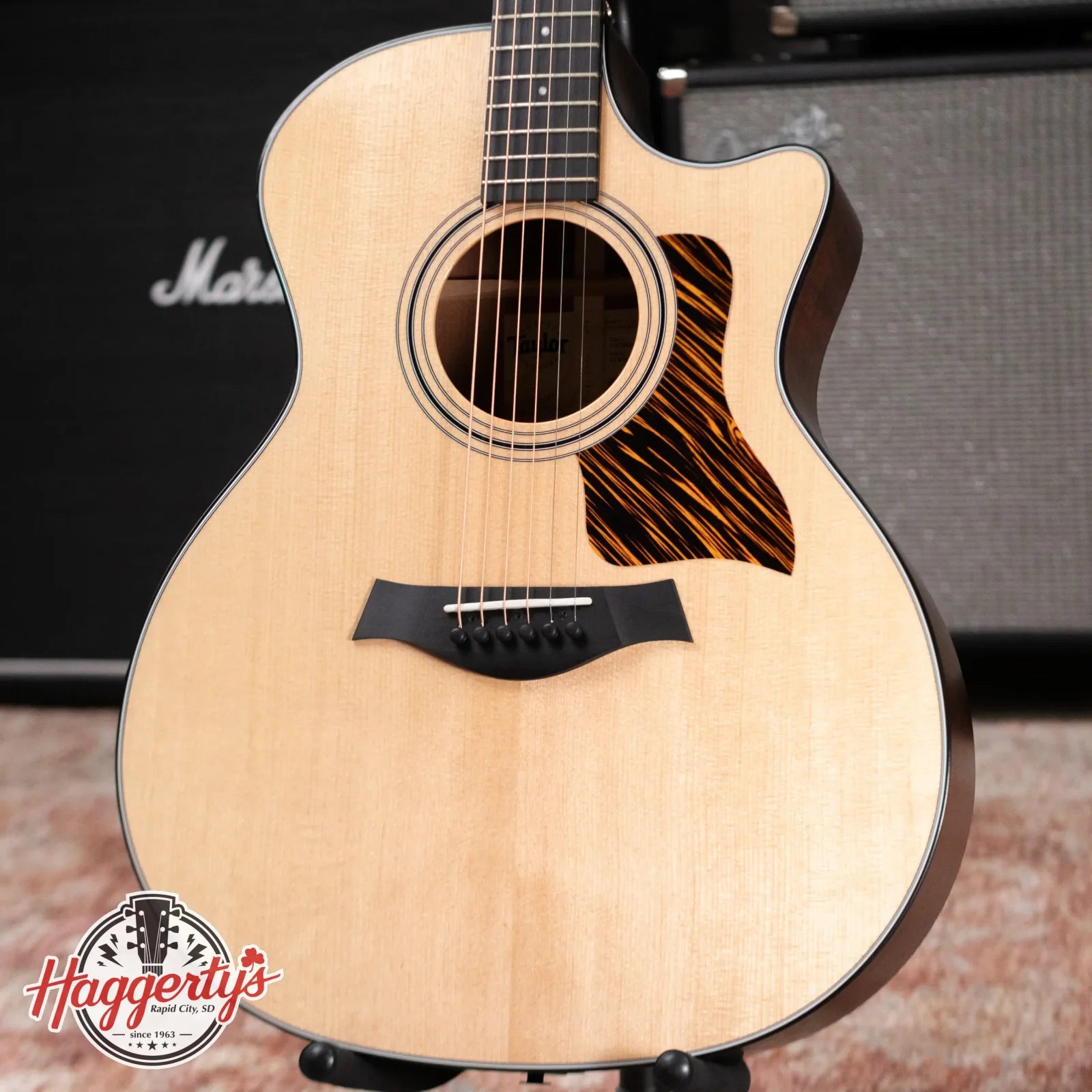 Taylor 314ce One of a Kind Grand Auditorium Acoustic/Electric with Hardshell Case - Demo