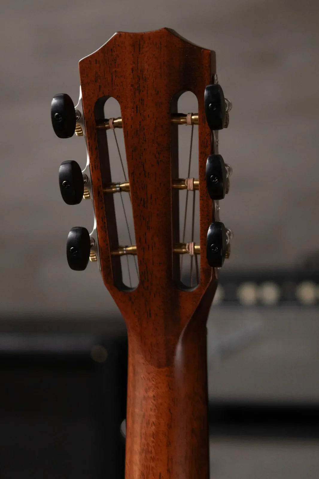 Taylor 322e 12-Fret Grand Concert Acoustic/Electric Guitar with Hardshell Case