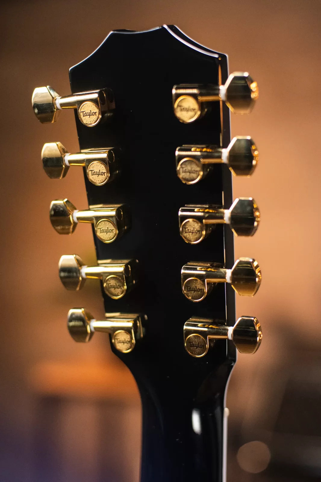 Taylor 657ce Bajo Quinto 10-String Acoustic/Electric Guitar with Hardshell Case