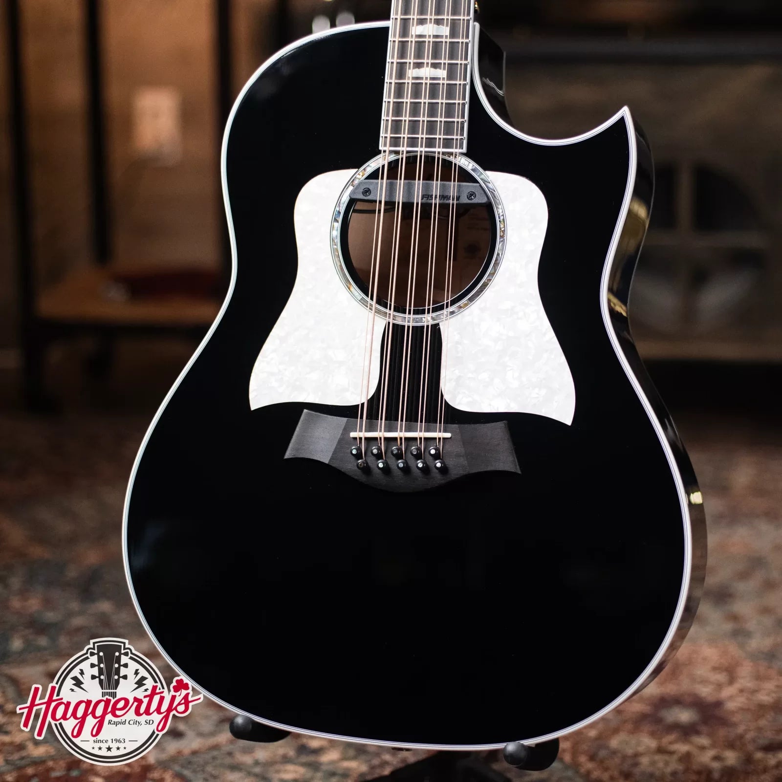 Taylor 657ce Bajo Quinto 10-String Acoustic/Electric Guitar with Hardshell Case