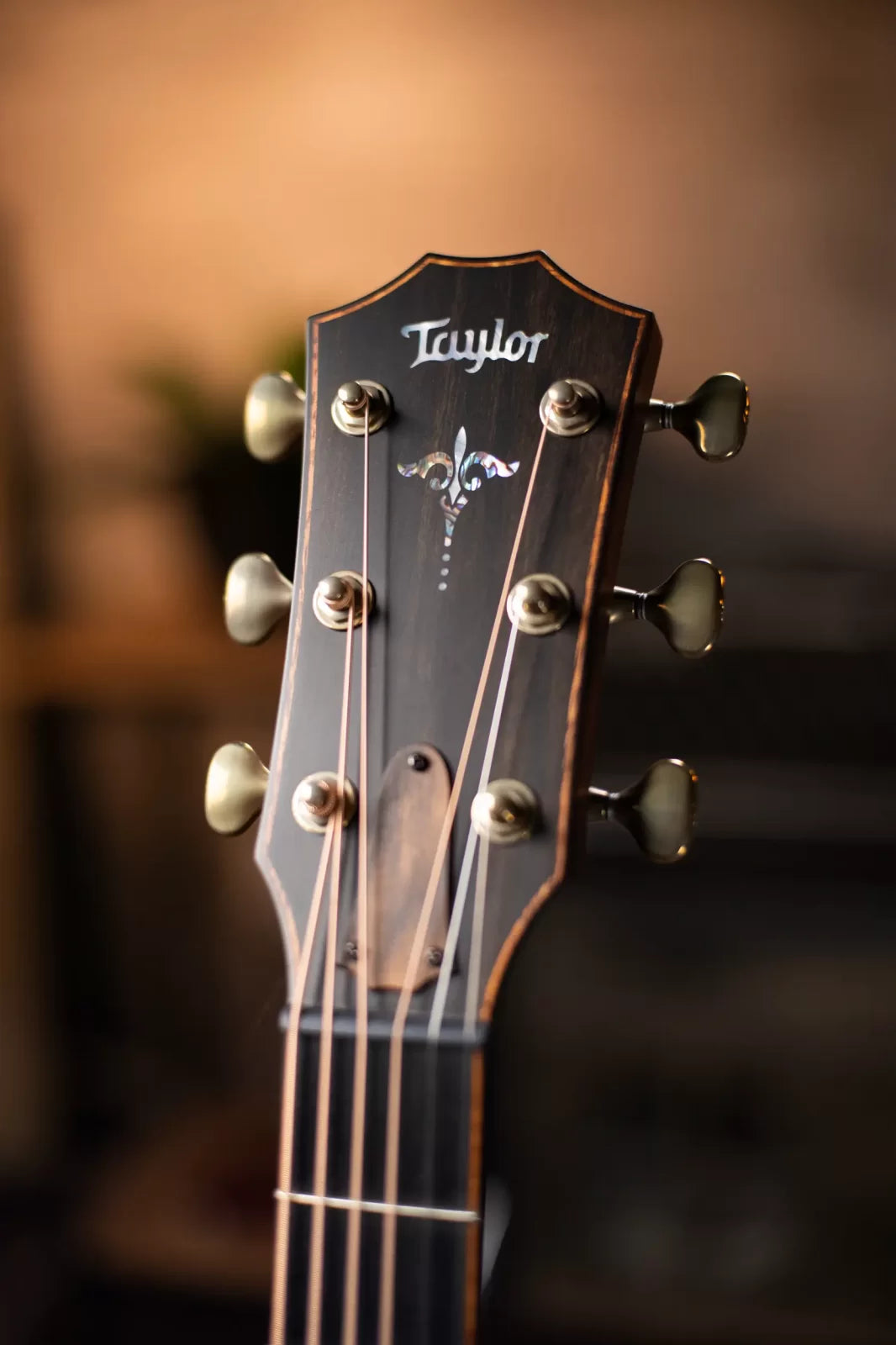 Taylor Builder's Edition 914ce Natural Grand Auditorium Acoustic/Electric with Deluxe Hardshell Case