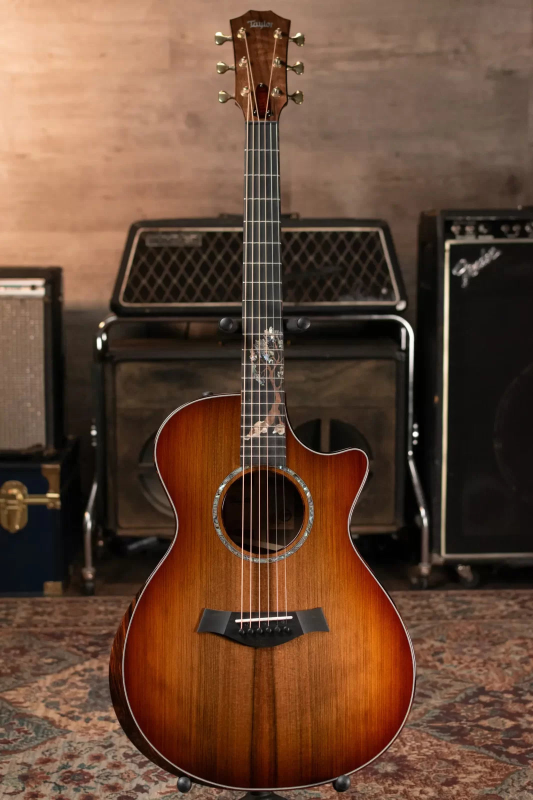 new Taylor Custom GC Cocobolo Grand Concert Acoustic Guitar with Hardshell Case haggertys 02