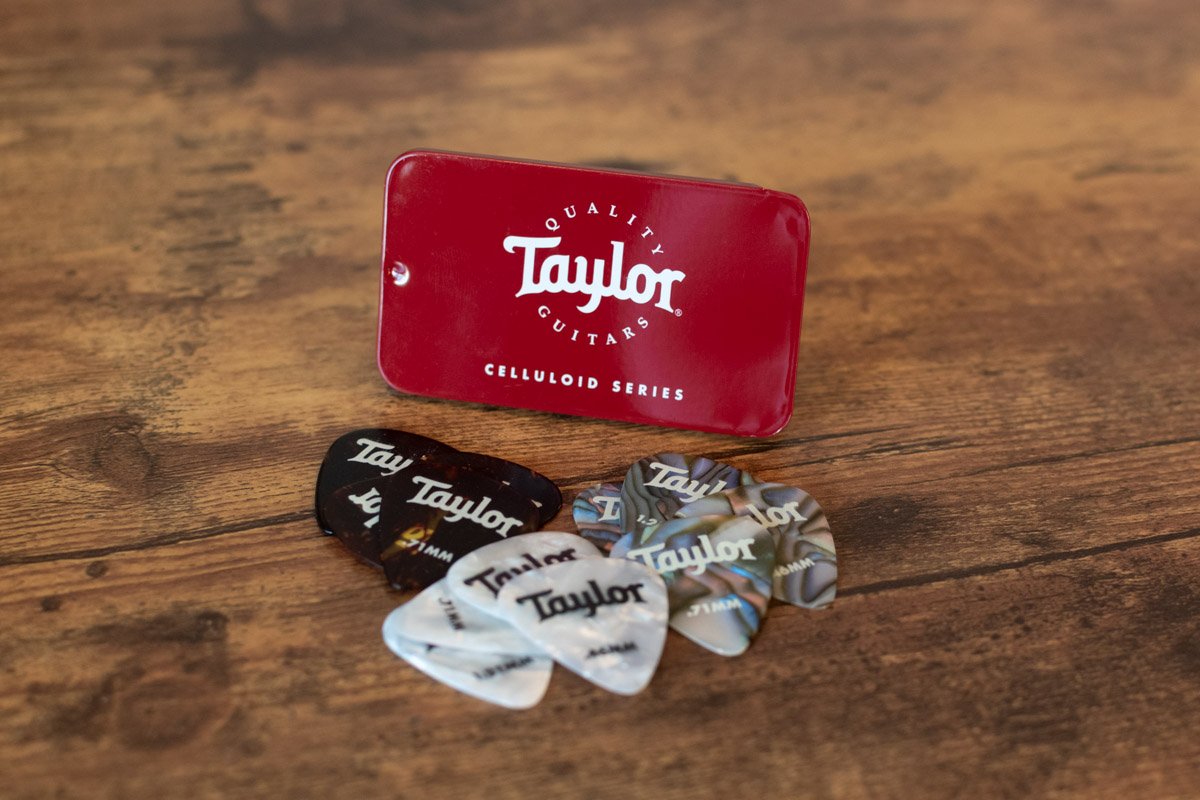 Taylor Essentials Pack, Gloss Finish Guitars